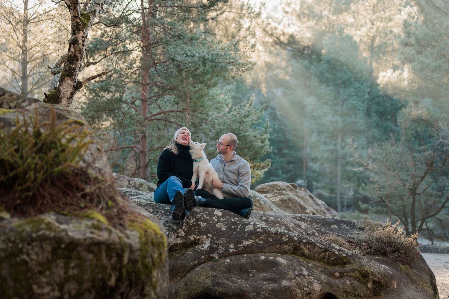 Two people sit together on a rocky outcrop in a misty forest with sunbeams streaming through the trees.