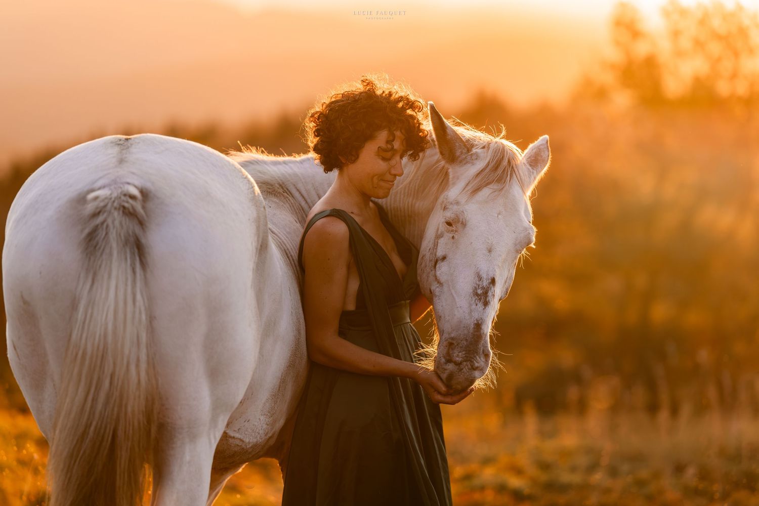 A woman in a black dress tenderly embraces a white horse at golden sunset in an open field.