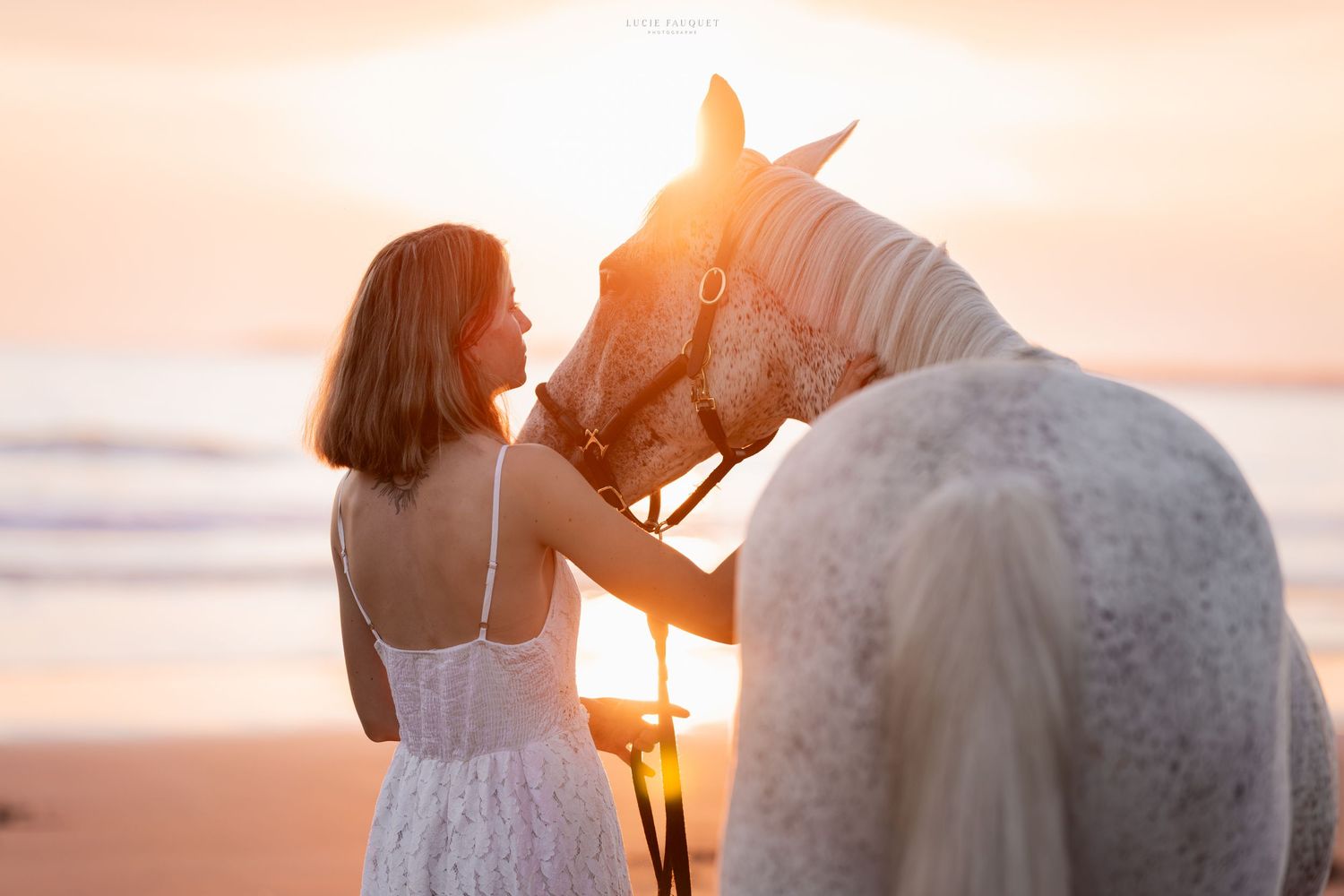 Woman in white dress tenderly interacting with a white horse on a beach at golden sunset.