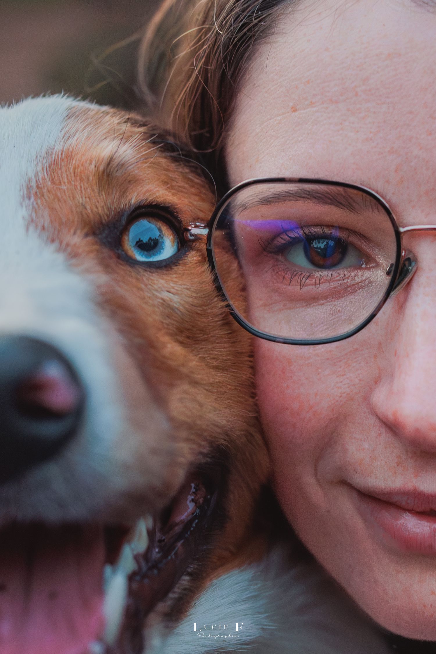 Close-up portrait of an Australian Shepherd dog with striking blue eyes next to someone wearing glasses.
