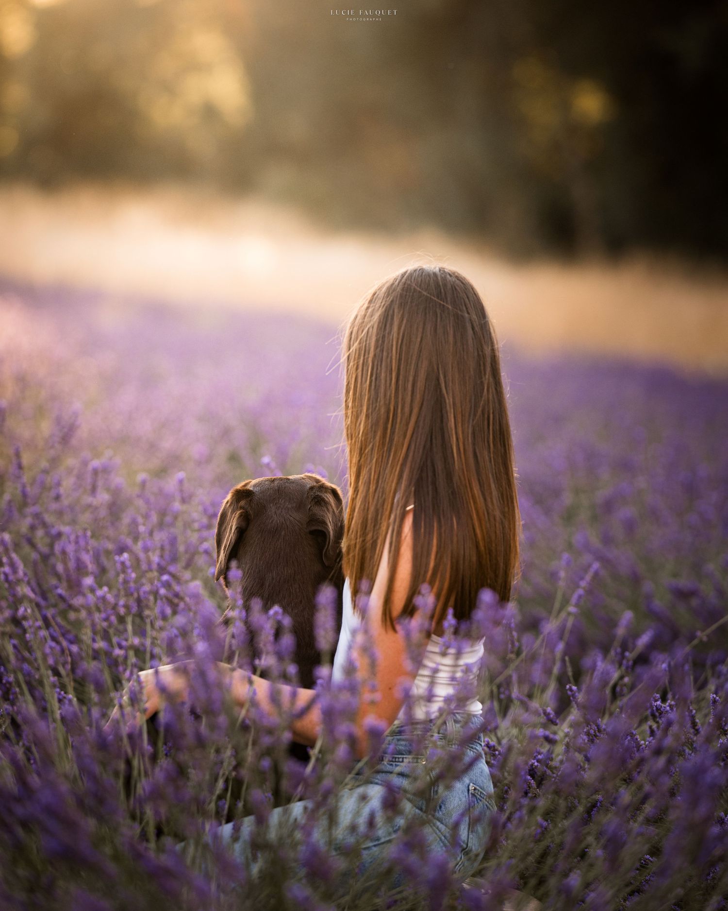 Girl with long hair and dog sitting in purple lavender field at golden hour sunset.