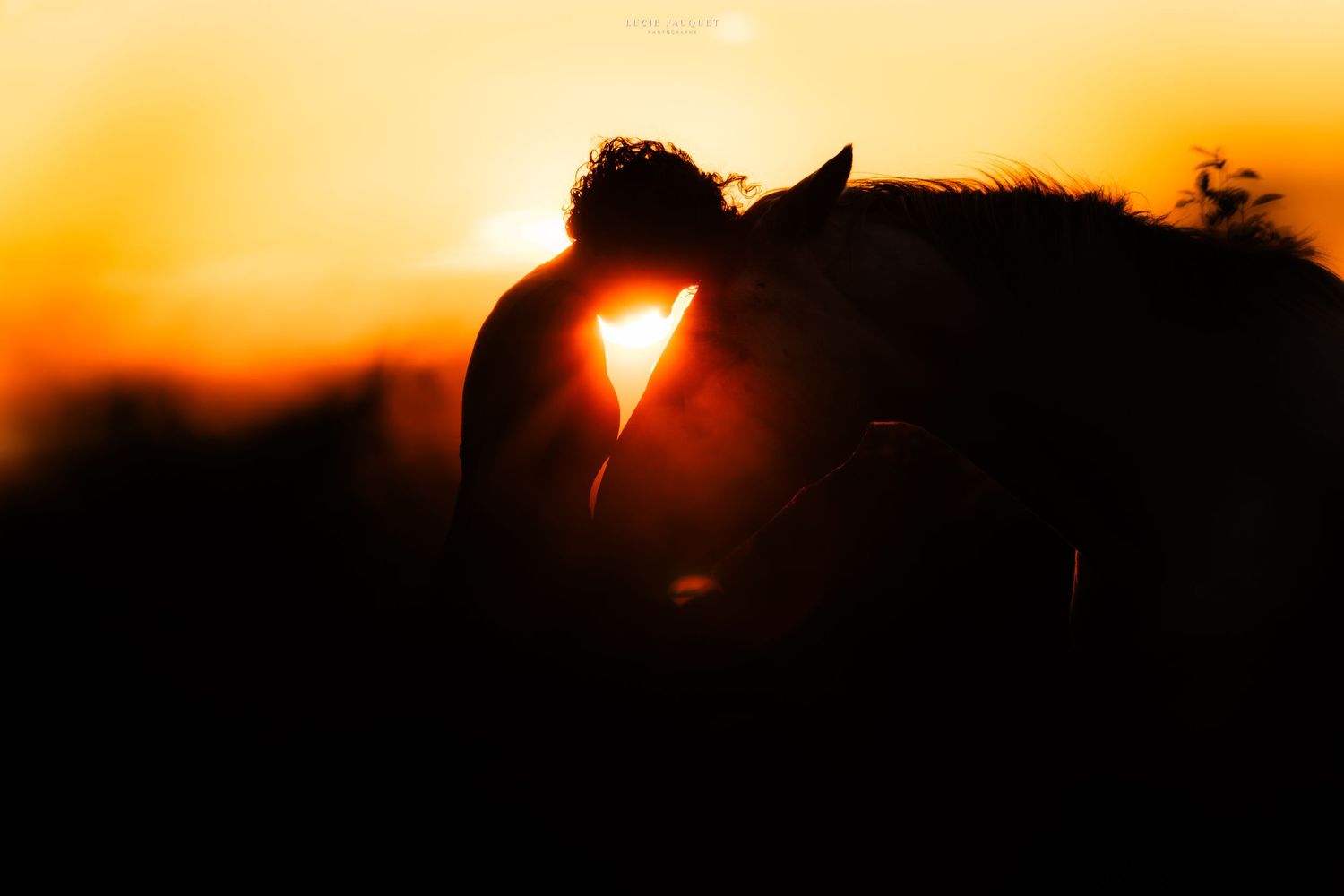 Silhouette of a person and horse at golden sunset, warm orange glow backlit against dark foreground.