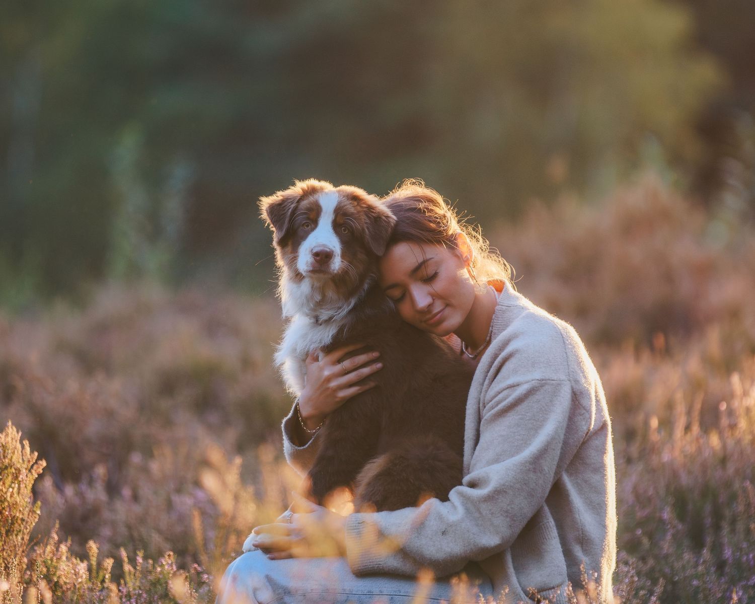 A person sits and pets their German shepherd dog in a golden sunlit meadow at sunset.