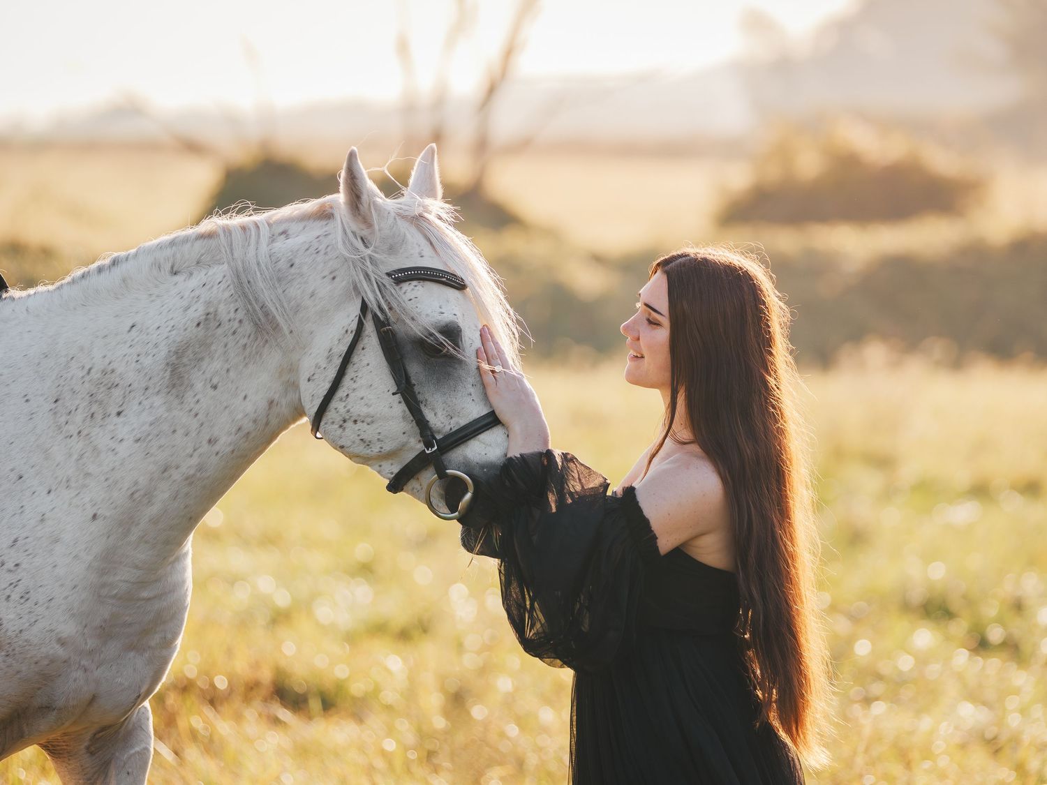 A series of intimate moments between a woman and a white horse in a sunlit meadow during golden hour.