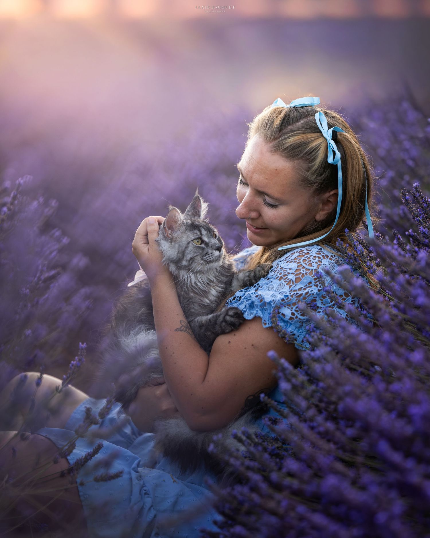 A smiling girl in a blue dress holds a fluffy cat in a vibrant purple lavender field at sunset.