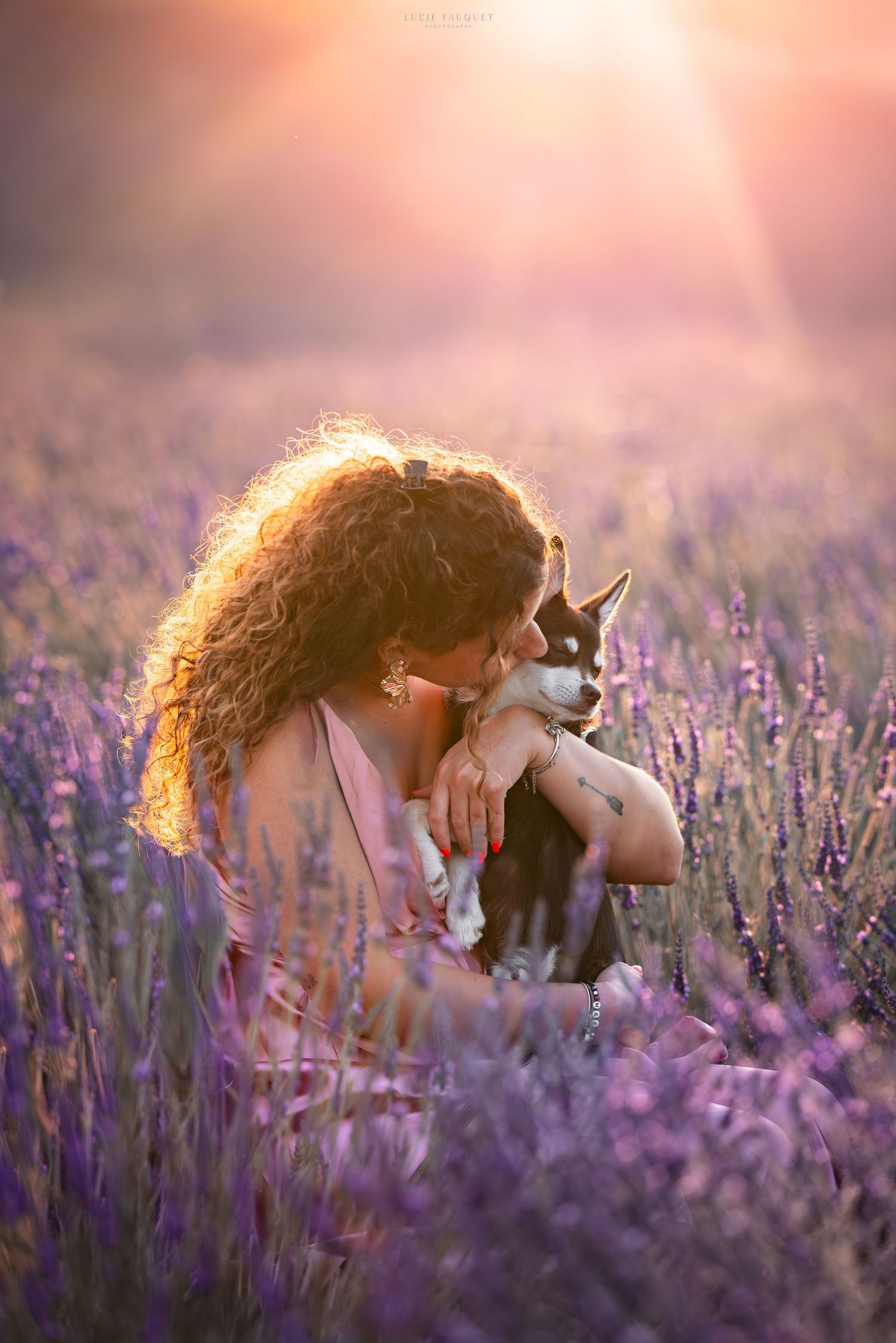 Woman with curly hair kissing a small husky puppy in a vibrant purple lavender field at golden sunset.