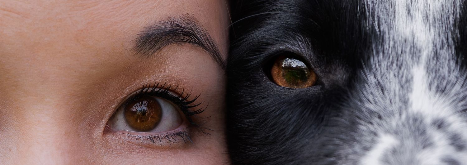 Close-up of a woman's brown eye beside a black and white dog's eye, highlighting the bond between human and pet.