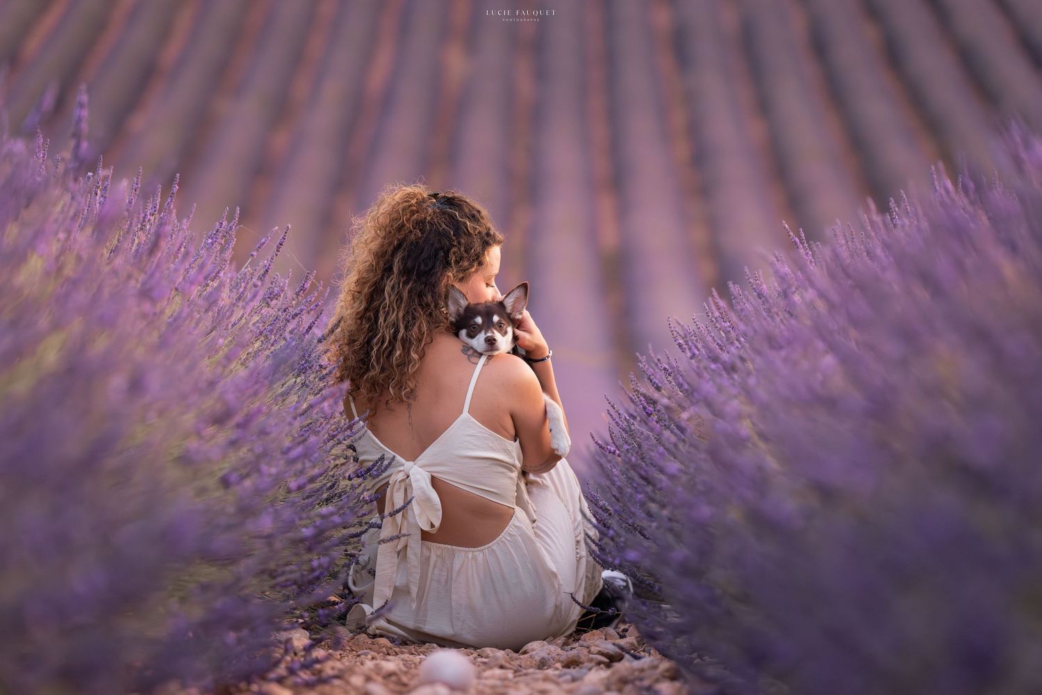 Woman in white dress sitting in lavender field rows, photographing with camera, purple flowers surrounding her.