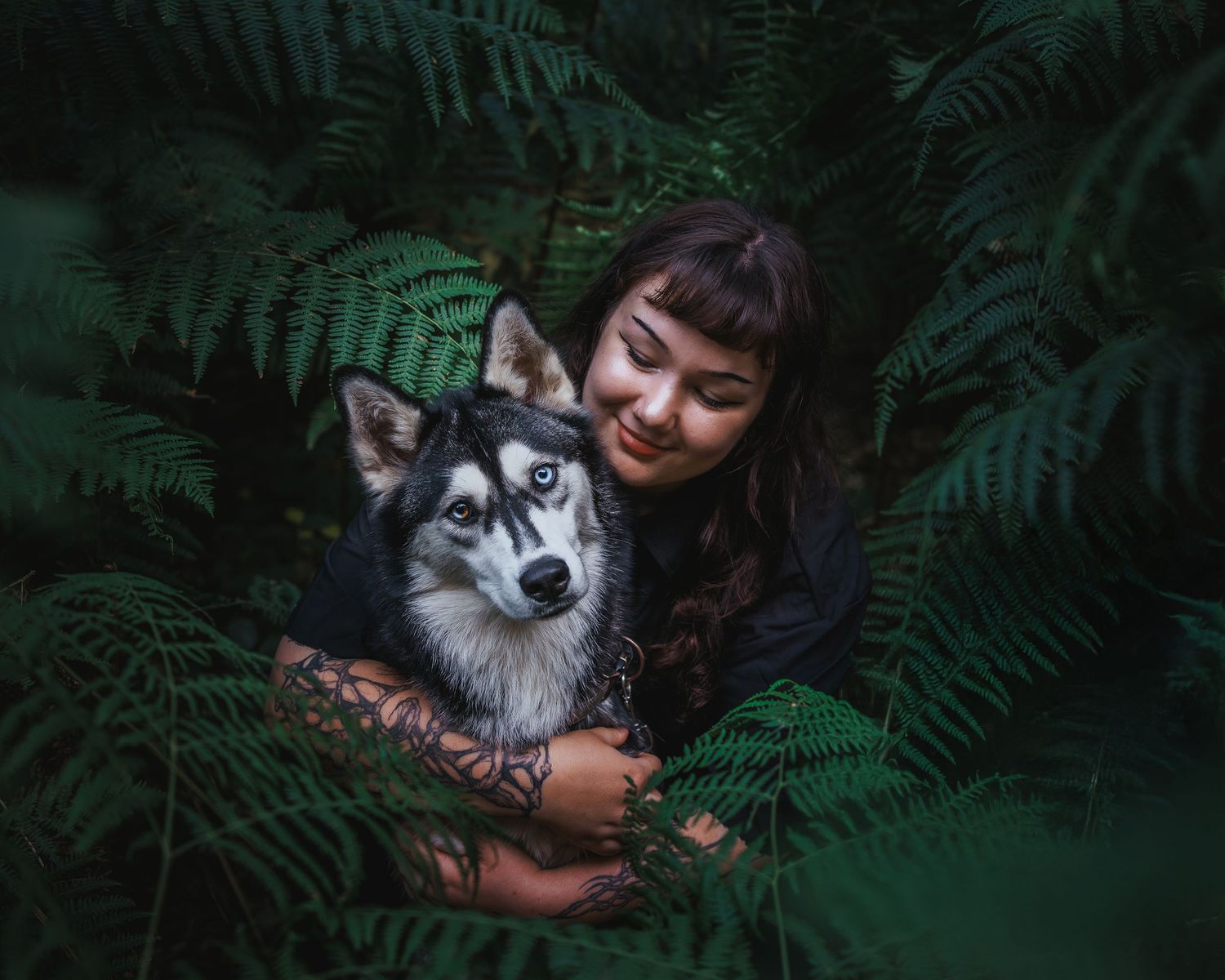 A series of moody forest photos show someone holding and cuddling with a fluffy Alaskan Malamute among green ferns.
