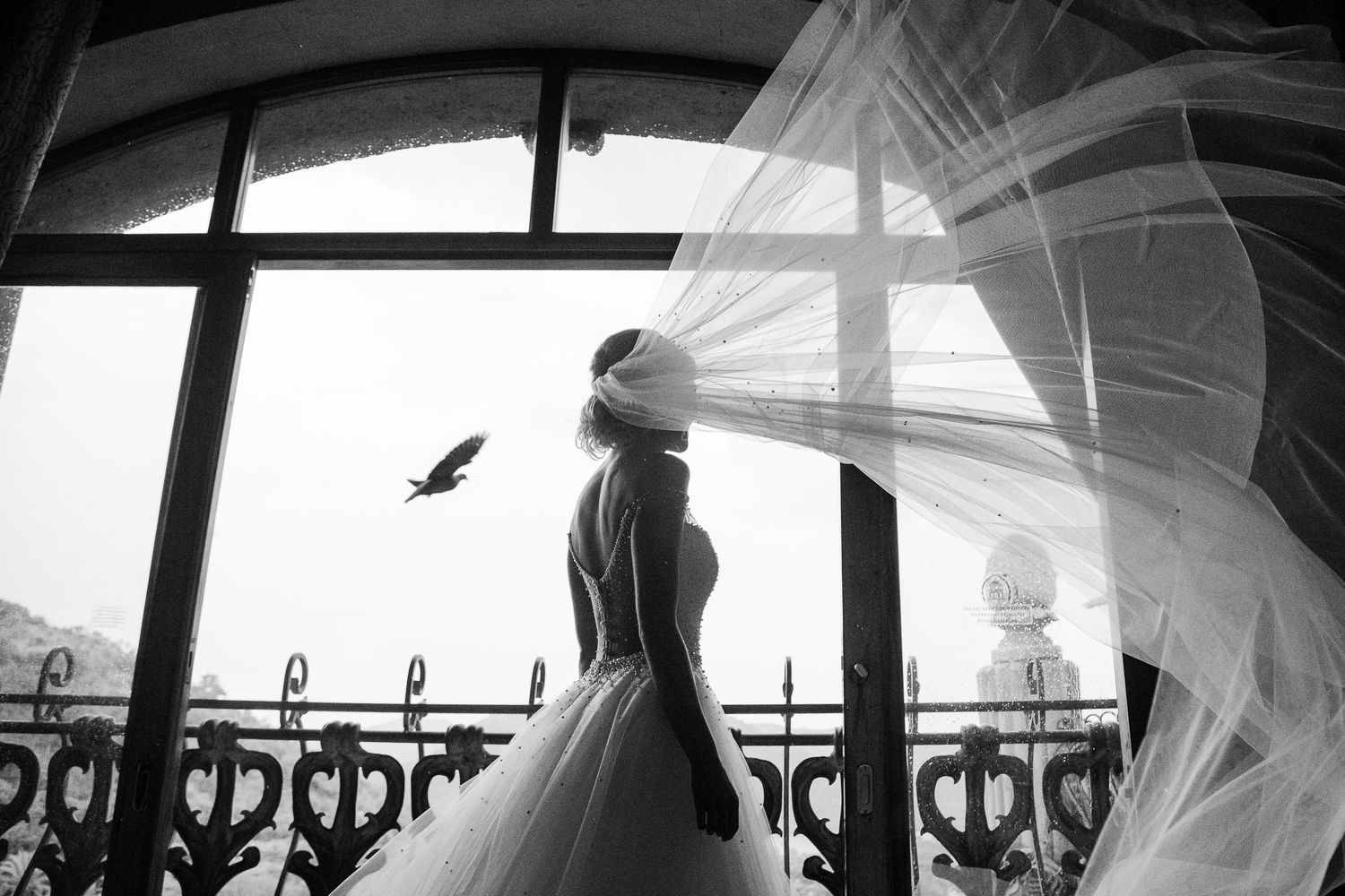 Bride's veil billowing in the wind as a bird flies past a balcony window at the Palace of the Lost City, South Africa.