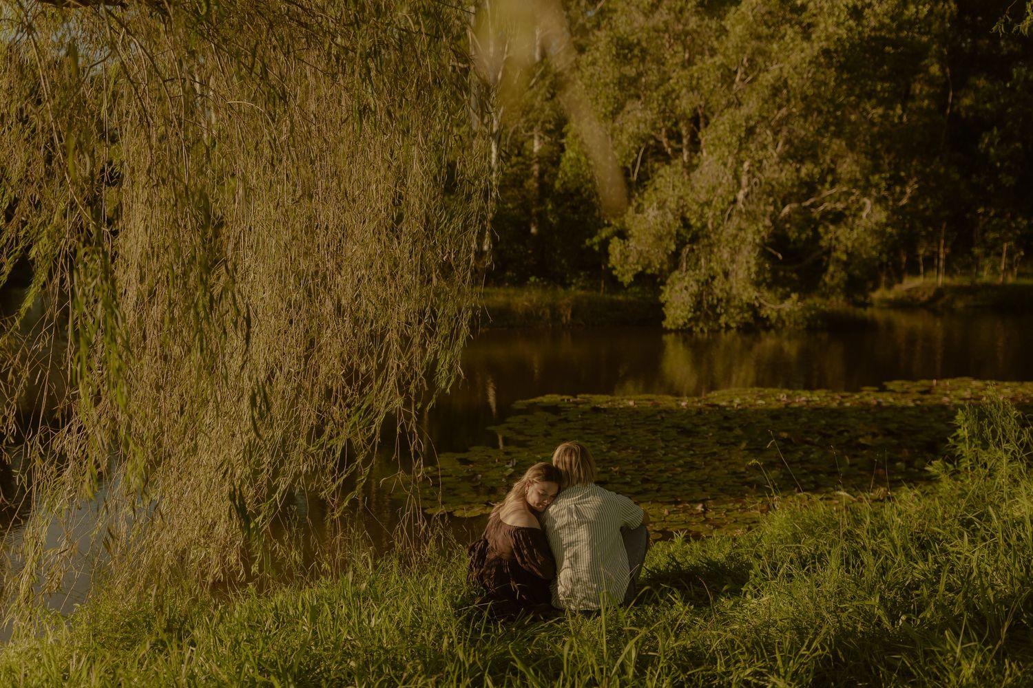 Scenic lakeside view with willow trees and natural vegetation at golden hour.