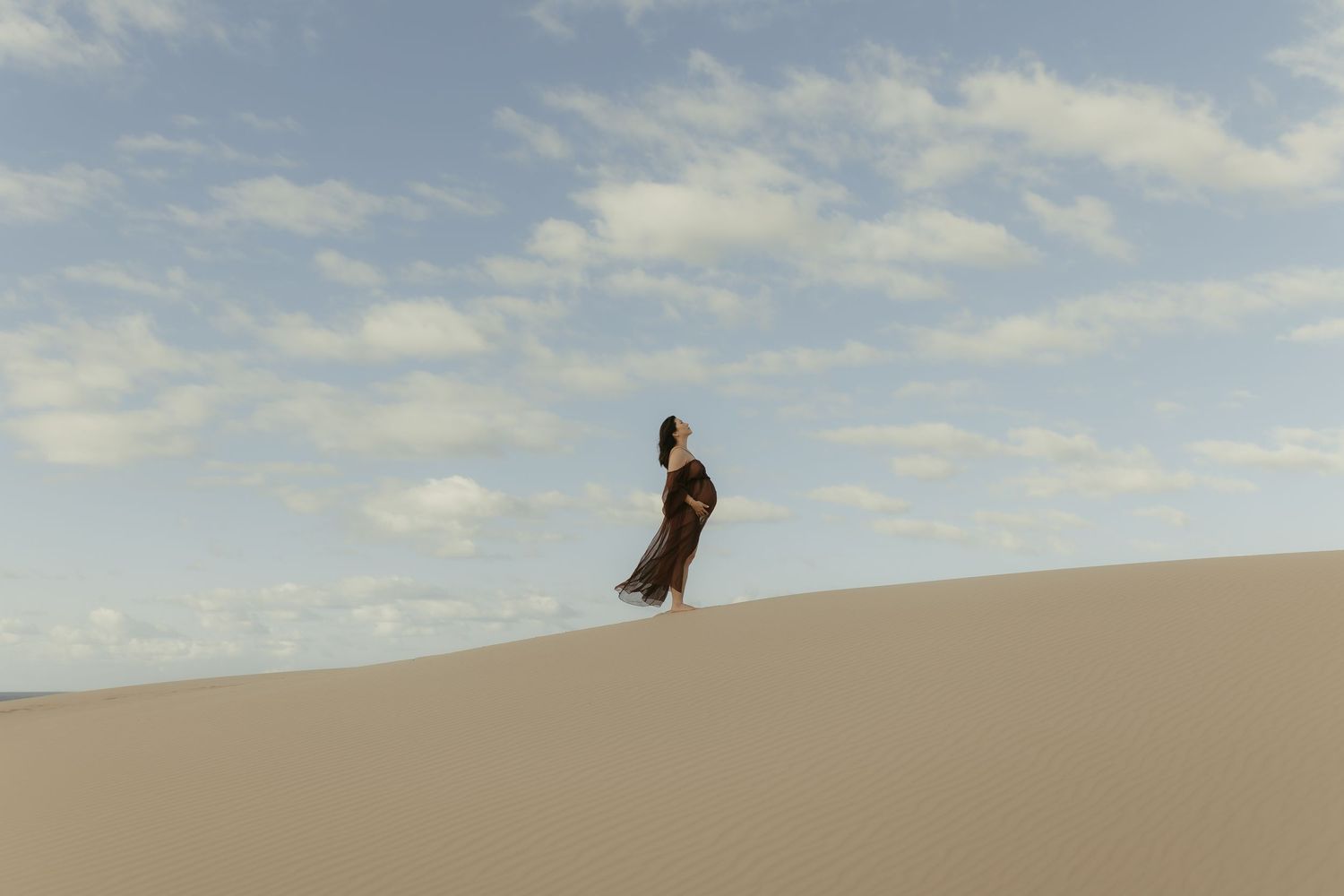 A brown dog stands atop a sand dune against a bright blue sky with wispy clouds.