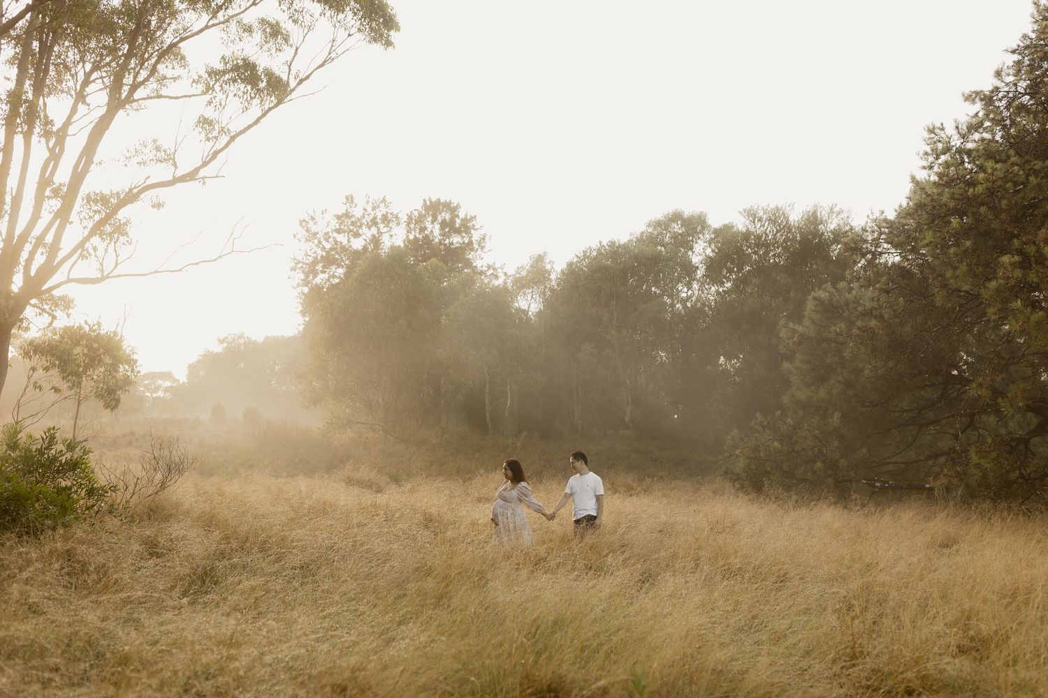 Sunlit misty meadow at dawn with tall grass and trees silhouetted against golden morning light.