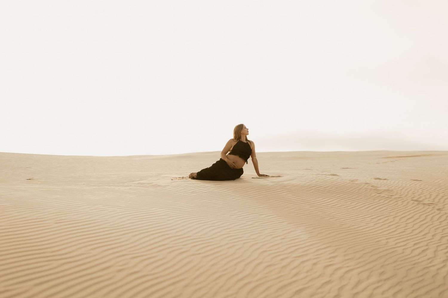 A silhouetted horse and figure stand against the rippling sand dunes during golden hour in a desert landscape.