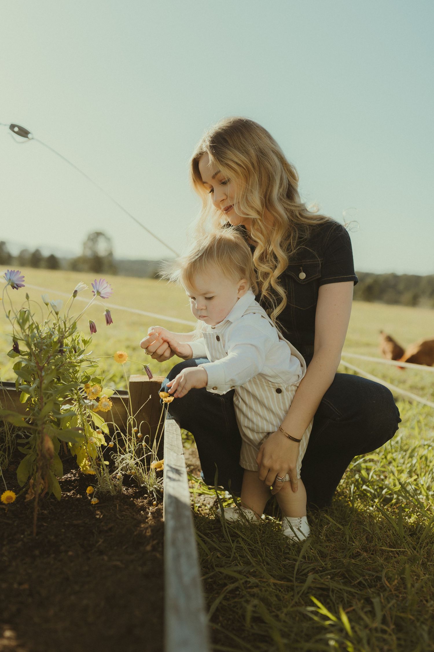 Family enjoying outdoor playtime with bubbles in a golden field at sunset.