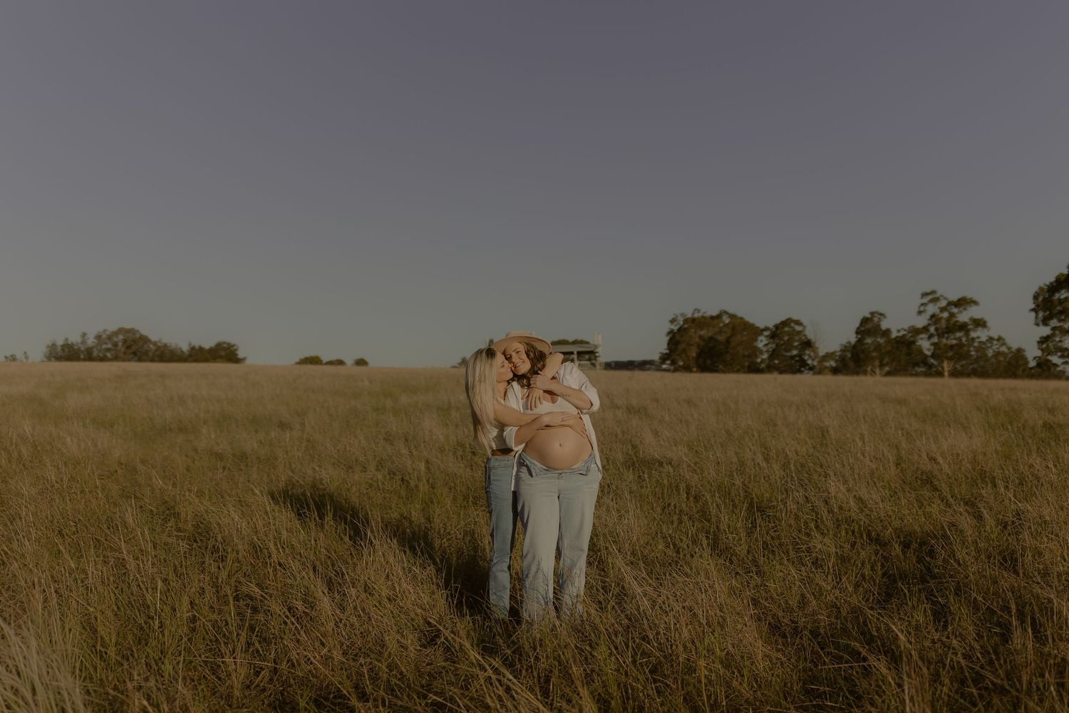 A dreamy golden field at sunset with tall grass and trees on the horizon.