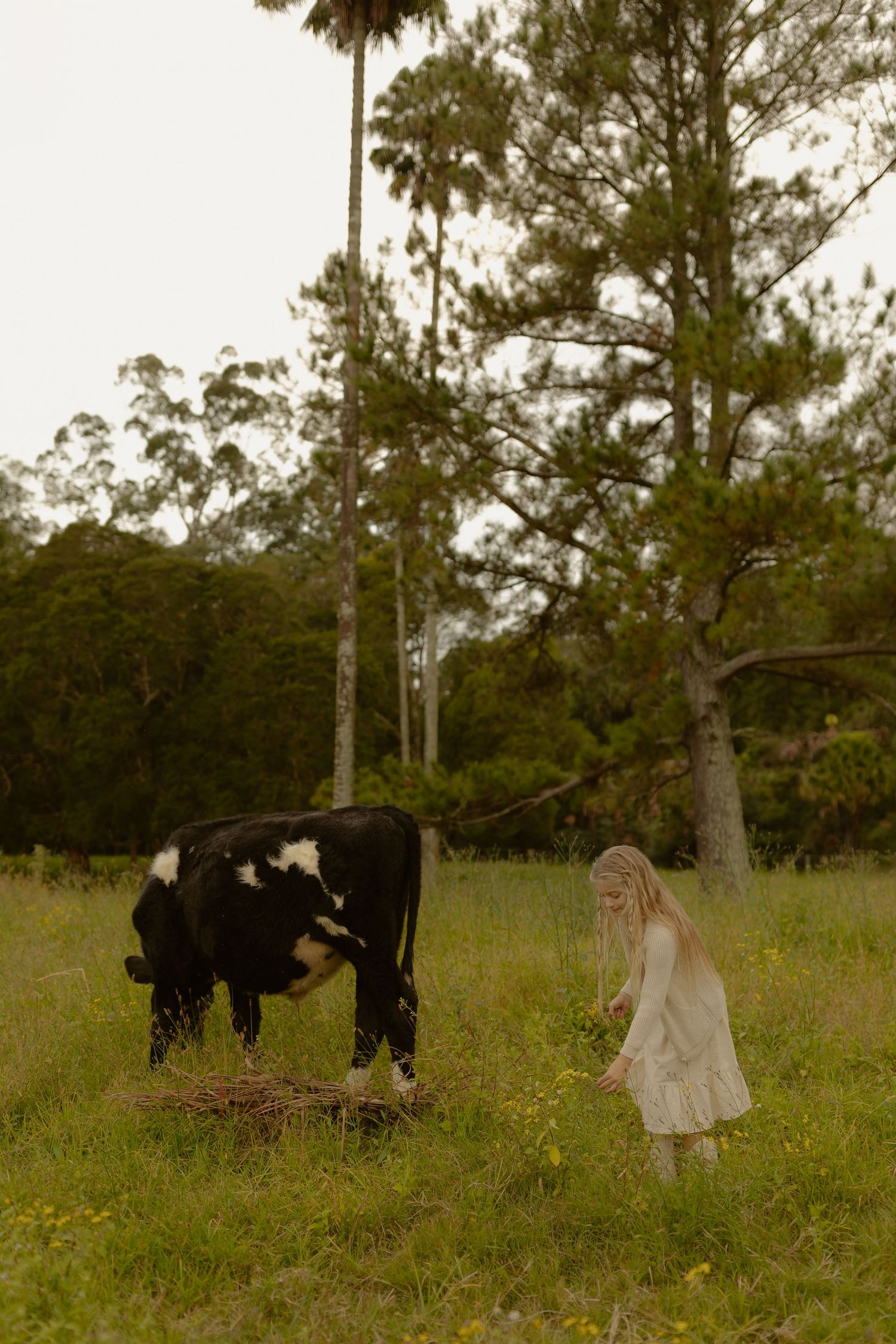 A young girl in a white dress stands near a black and white cow grazing in a lush green field.