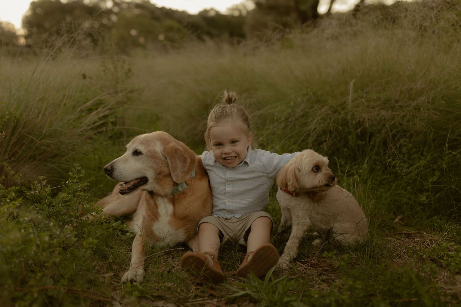 A sequence of sepia-toned photos shows a dog and baby playing together in a grassy outdoor setting.