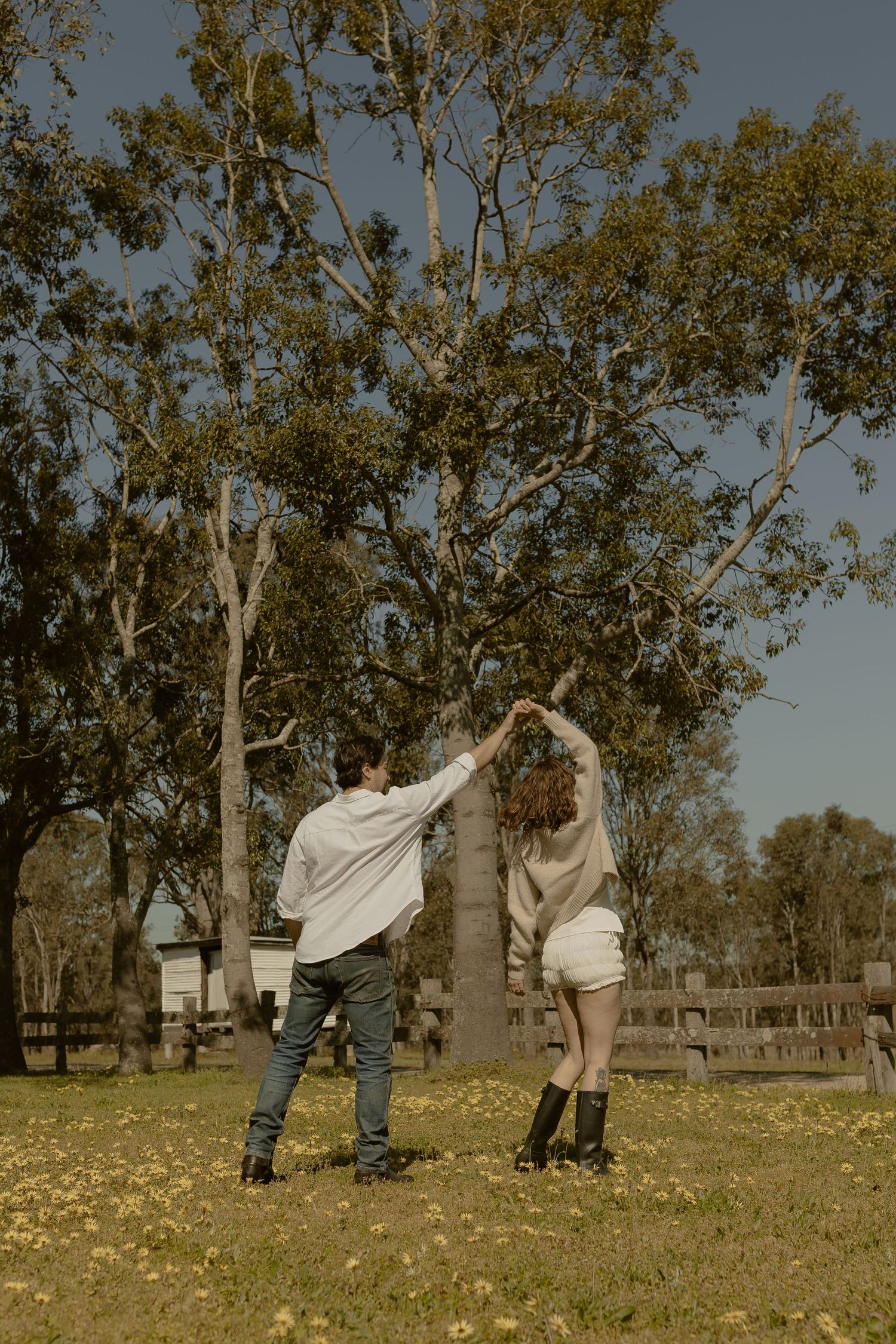 People walking through a grassy field with eucalyptus trees in the background.