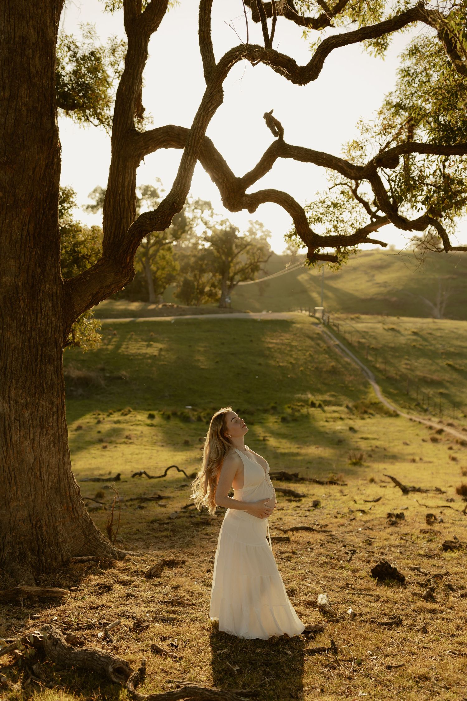 Pregnant woman in white dress gazing up at oak tree branches during golden hour sunset.