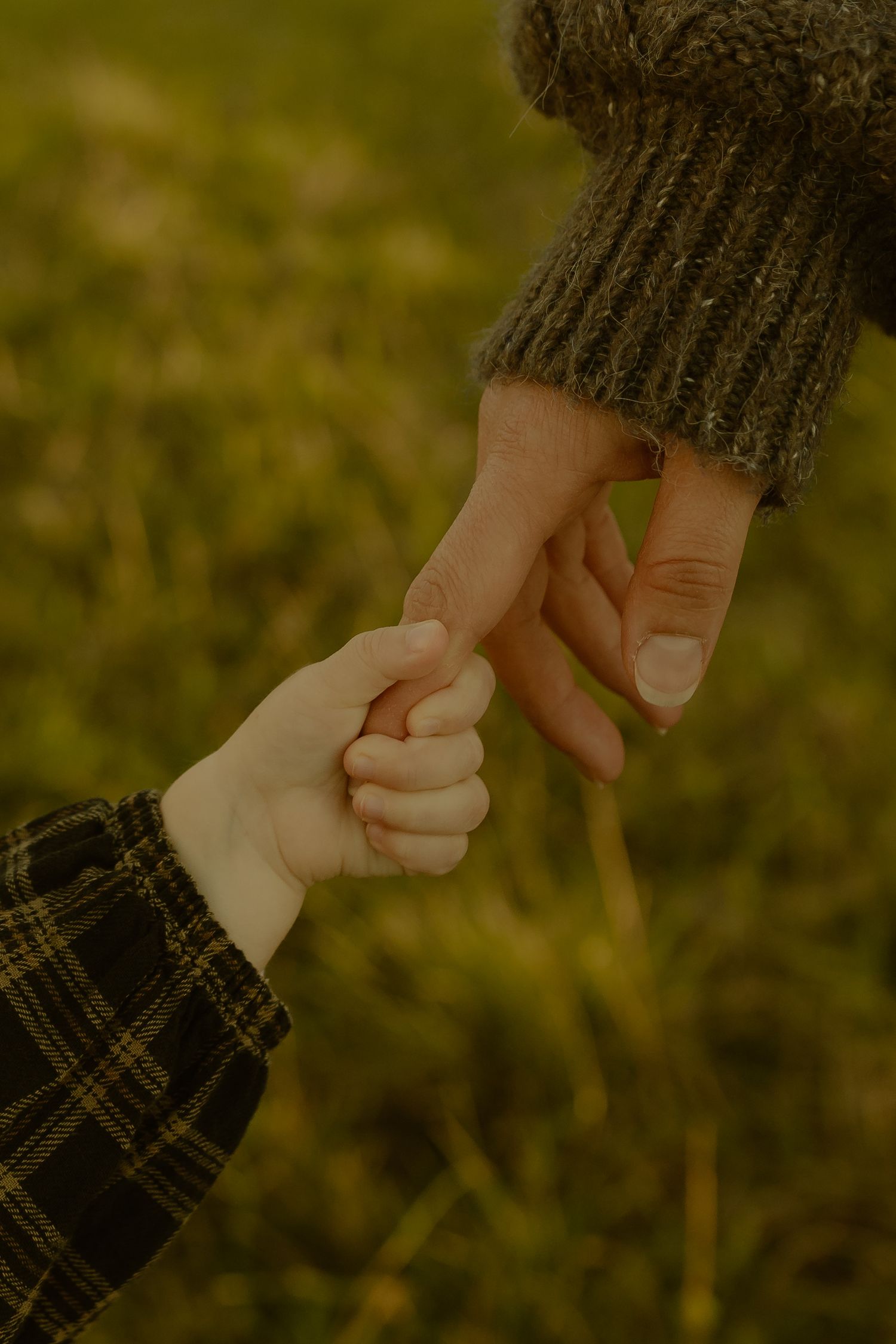 Close-up of a child holding an adult's finger, wearing plaid sleeve, on a grassy background.