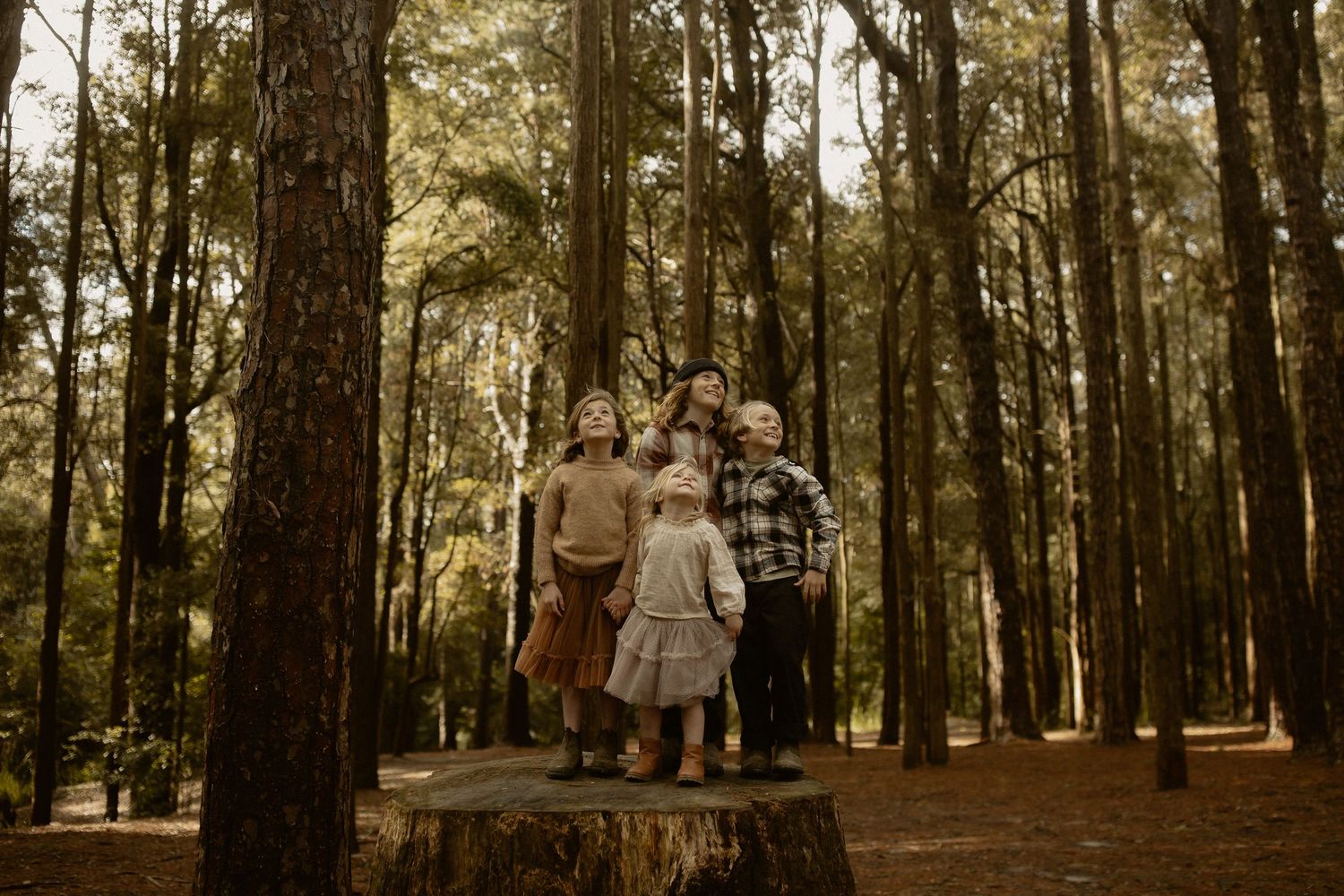 A group stands together on a concrete platform surrounded by tall pine trees in a moody forest setting.