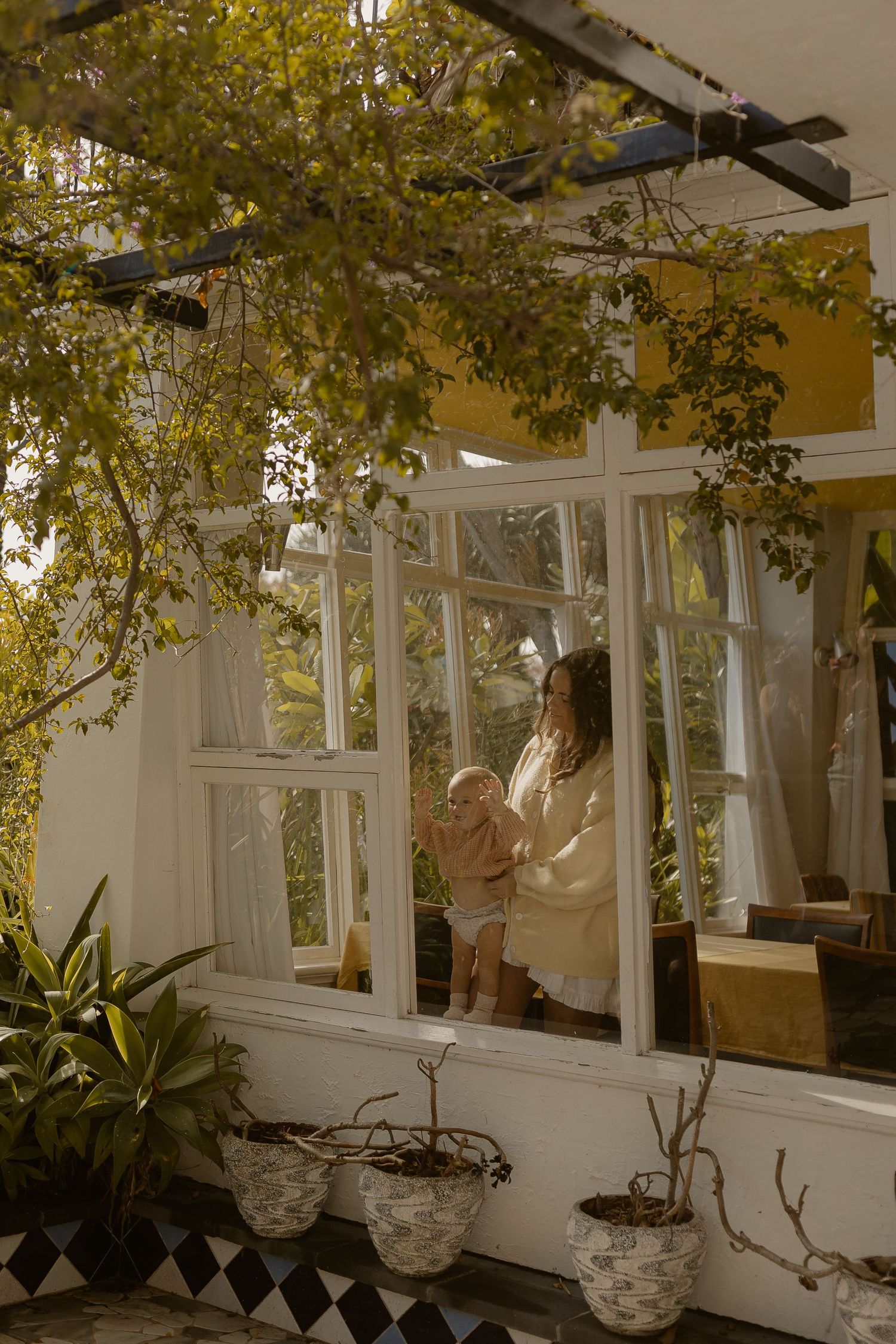 Mother holding toddler near sunlit white-framed windows surrounded by lush green plants and yellow walls.