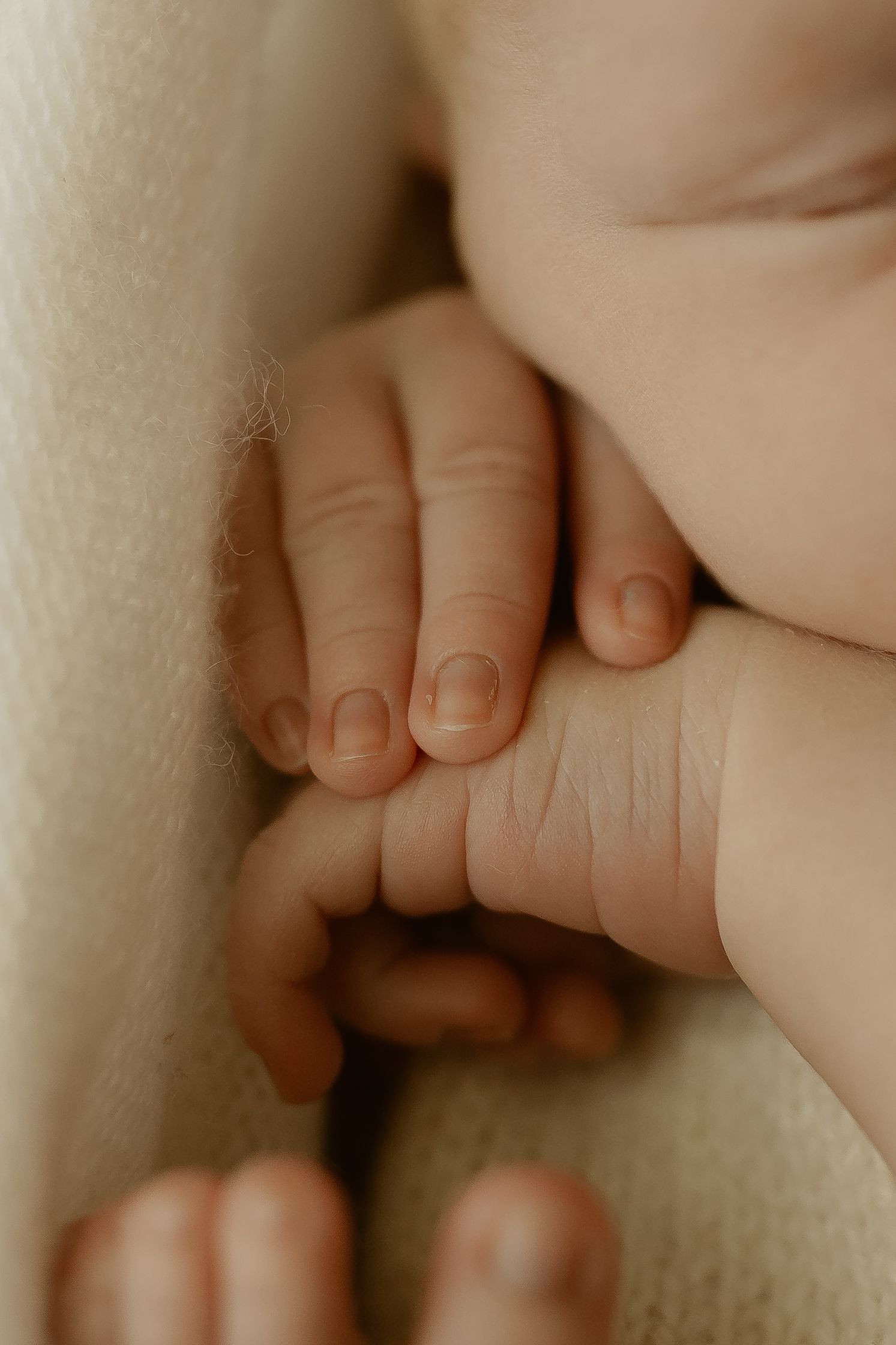 Close-up macro photo of a tiny baby's hand showing delicate fingers and skin texture in warm lighting.