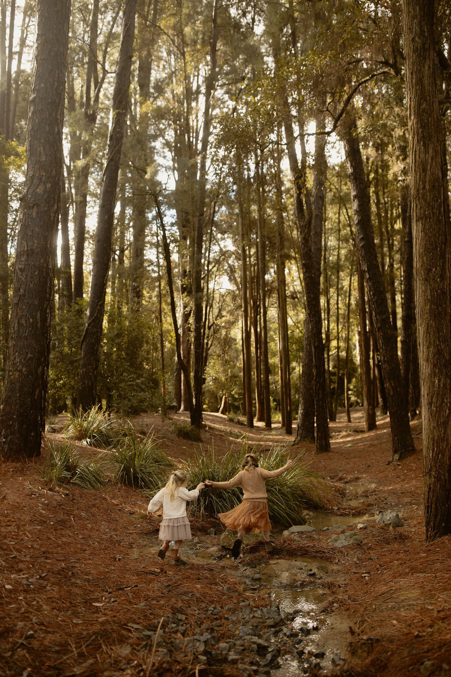 A magical forest scene at golden hour with two figures in flowy dresses dancing along a winding creek path.