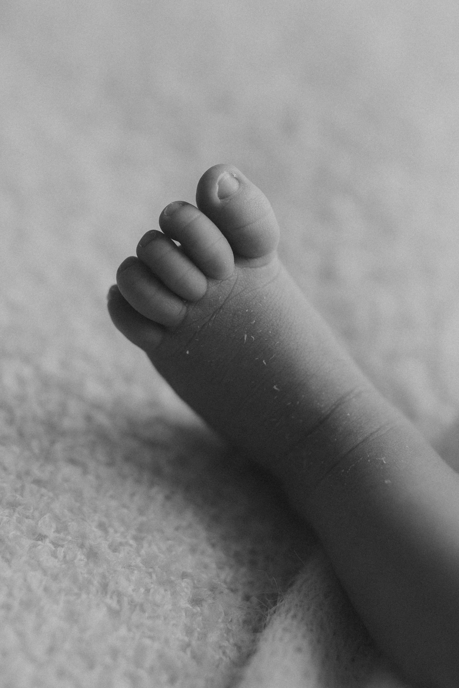 Close-up black and white photo of tiny baby toes against a soft textured background.