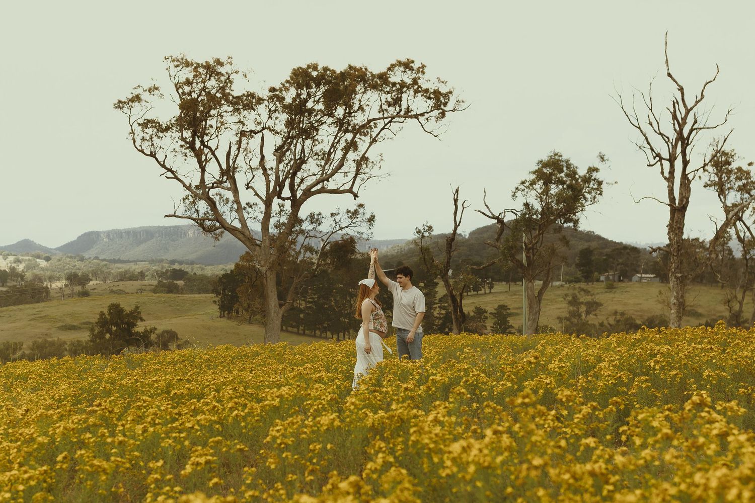 A series of photos showing people walking through a vibrant yellow field of wildflowers with mountains in the background.