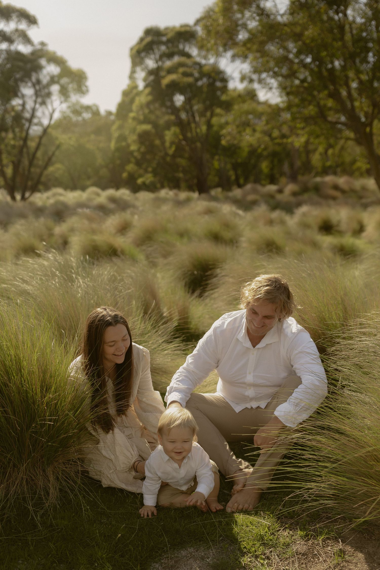 A tender family moment captured in golden light among tall grass and eucalyptus trees.