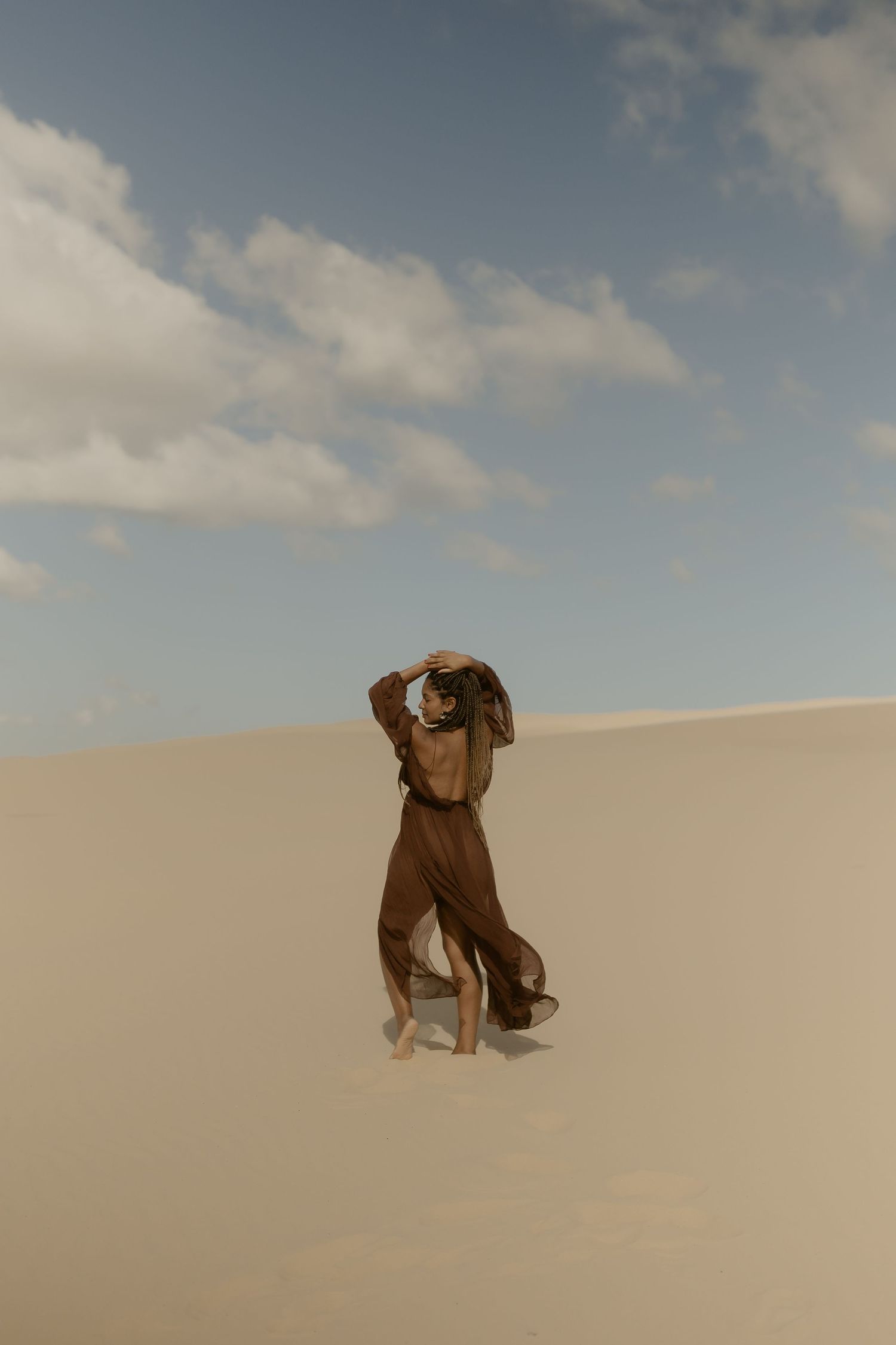 Brown dog sitting on a sandy desert dune against a cloudy blue sky in a minimalist landscape composition.
