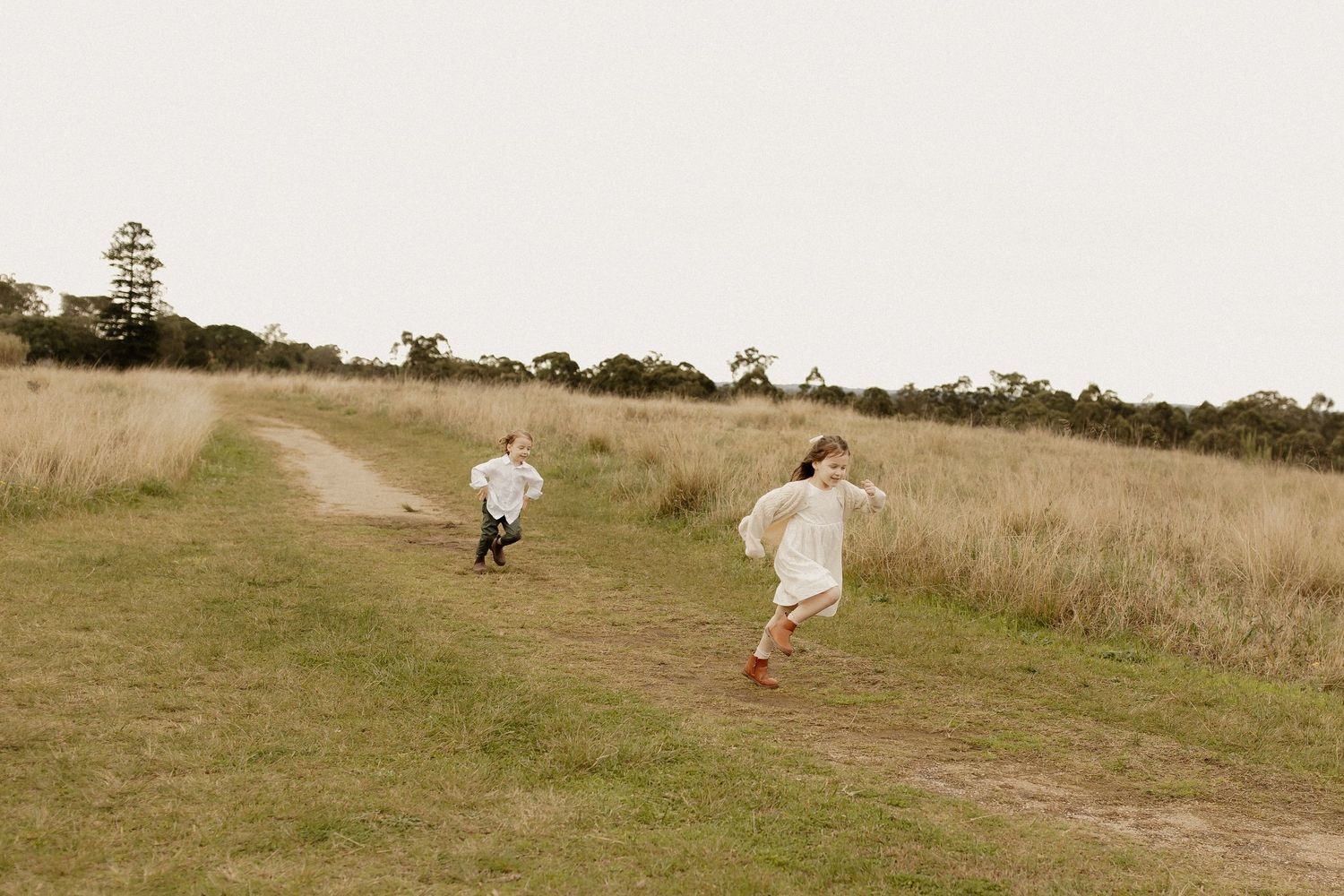 Family walks together through a golden grassy field at sunset with distant trees in the background.