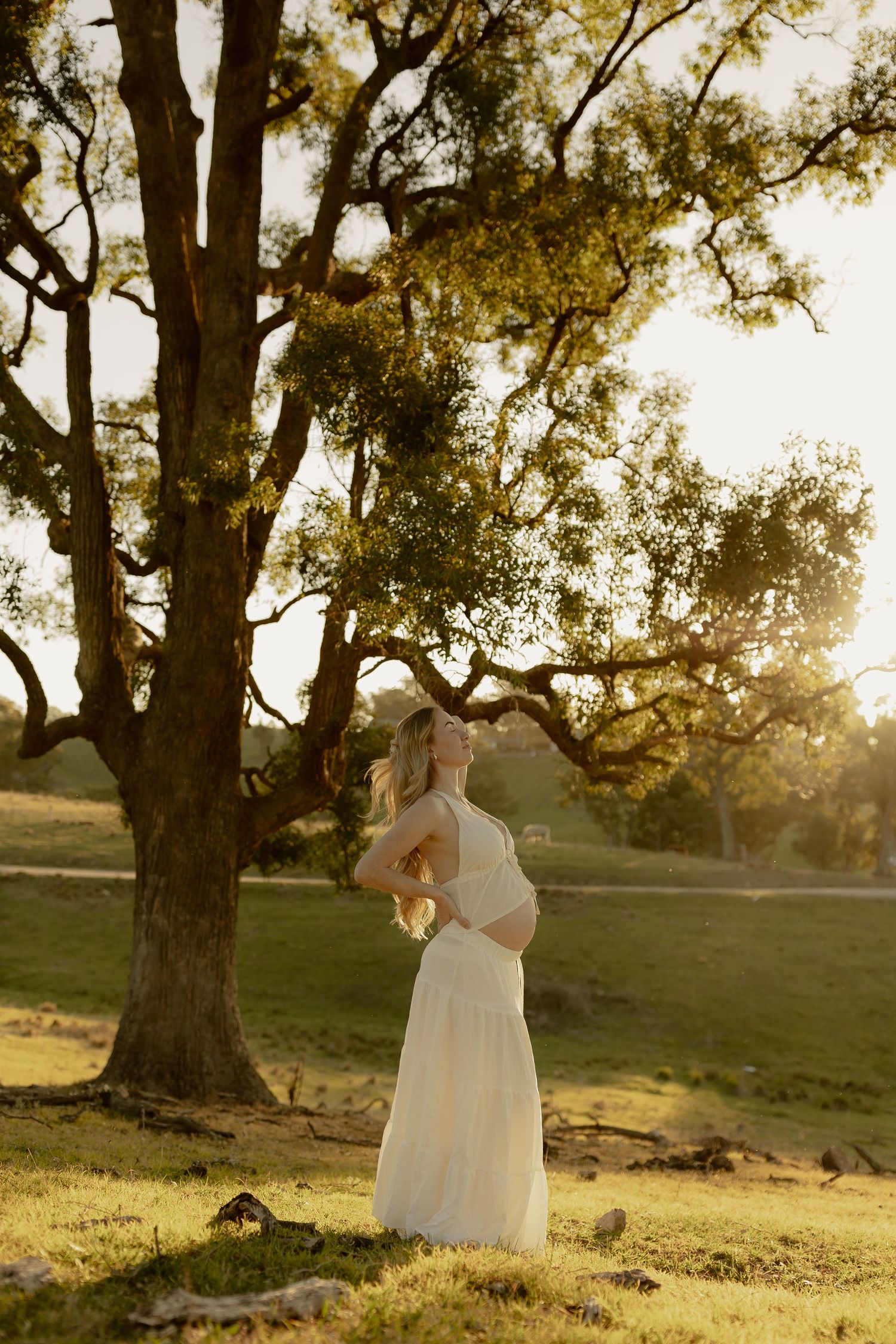 Pregnant woman in white dress cradling baby bump under large oak tree in warm sunset glow.