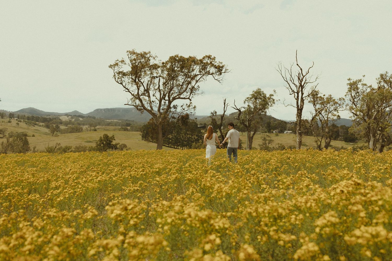 Two figures embrace in a sun-drenched field of yellow flowers with a rural landscape stretching behind them.
