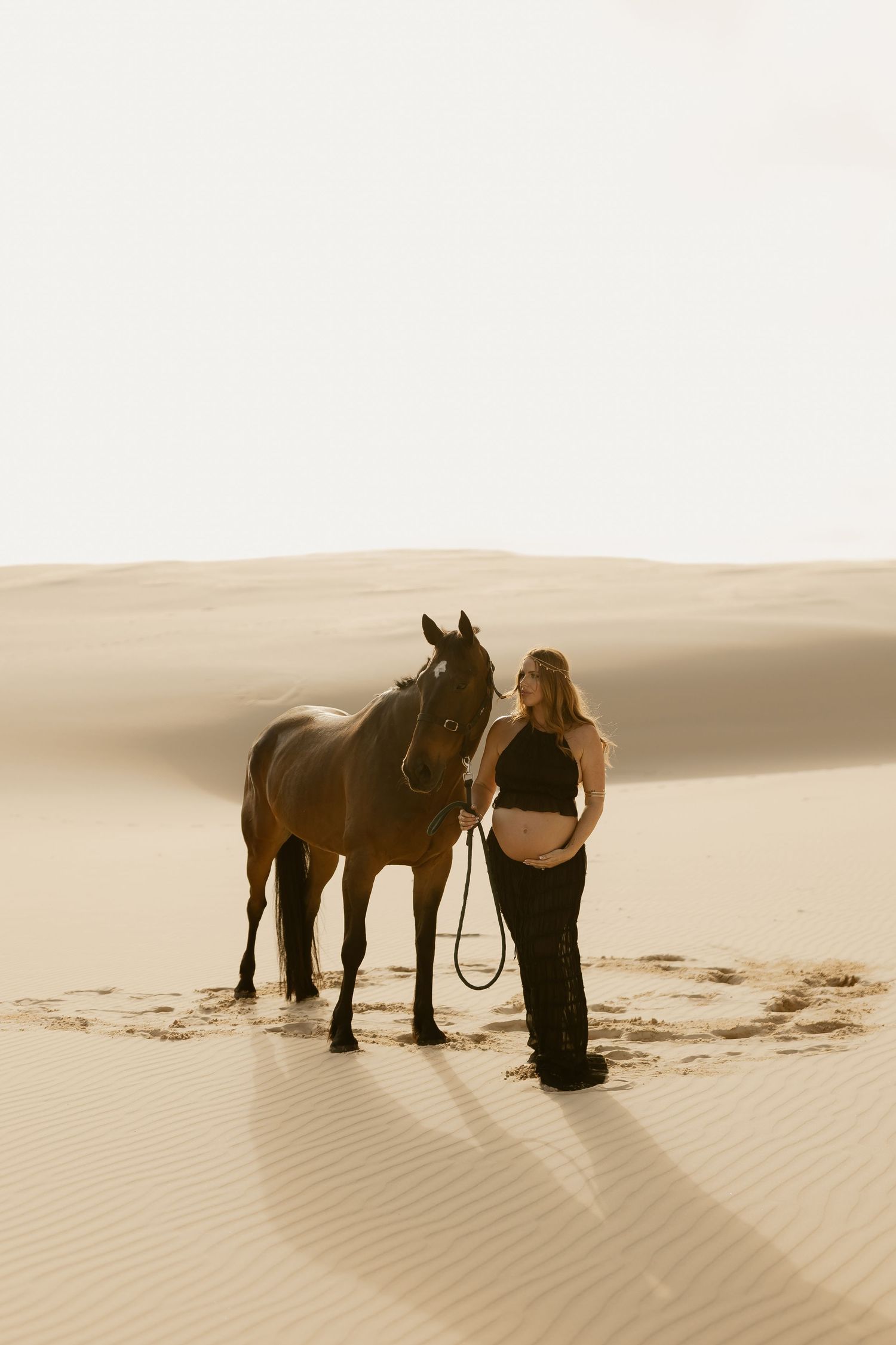 A dark horse stands with its companion in the desert sand dunes during golden hour.