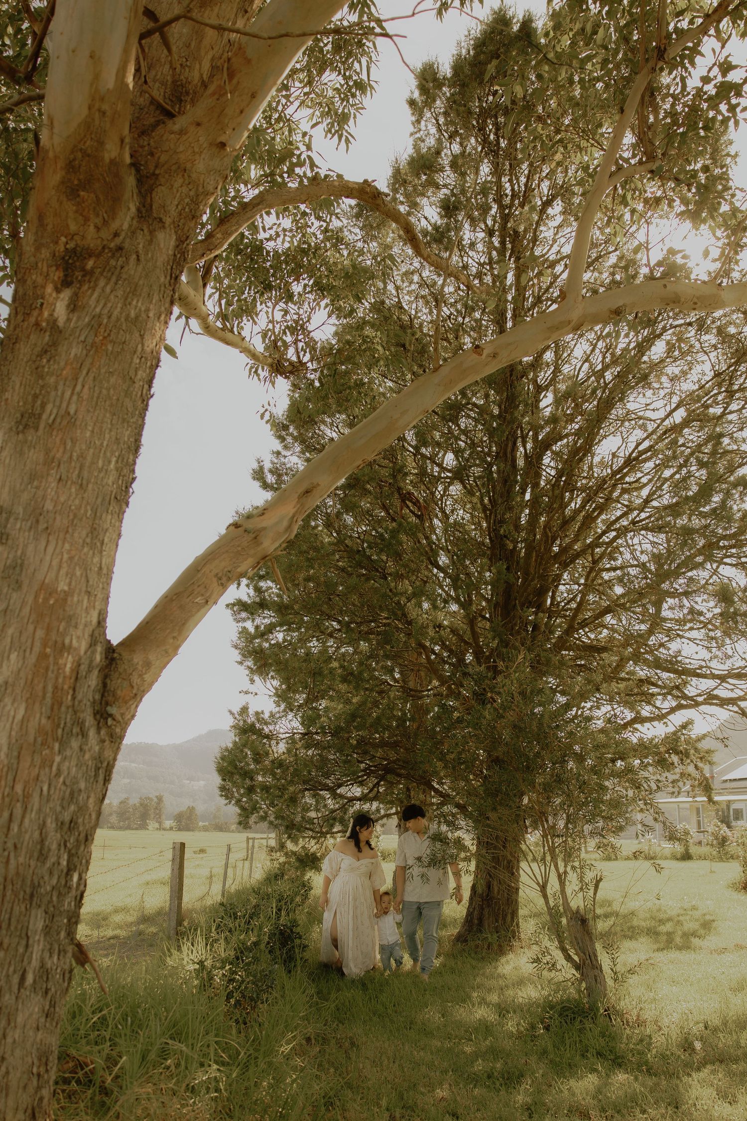 Family standing under large eucalyptus trees in a green rural field, captured in a soft, warm-toned outdoor portrait.