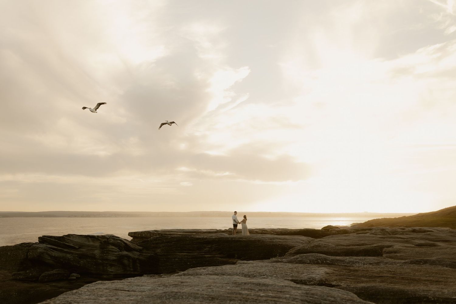 A series of scenic coastal landscapes at sunset showing silhouettes of cliffs and birds against an orange sky.