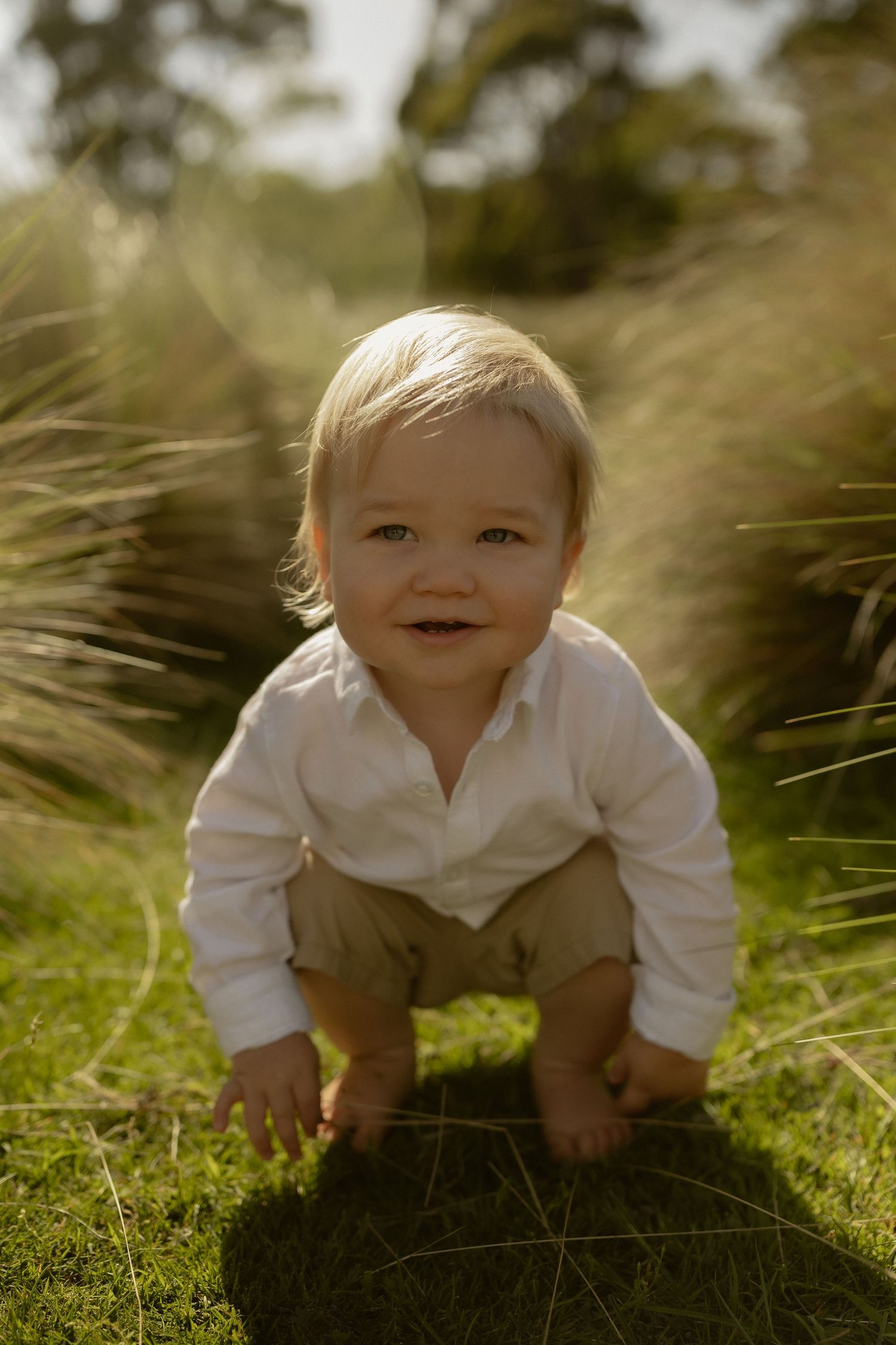 A sequence of images showing a baby crawling through grass in warm sunlight.