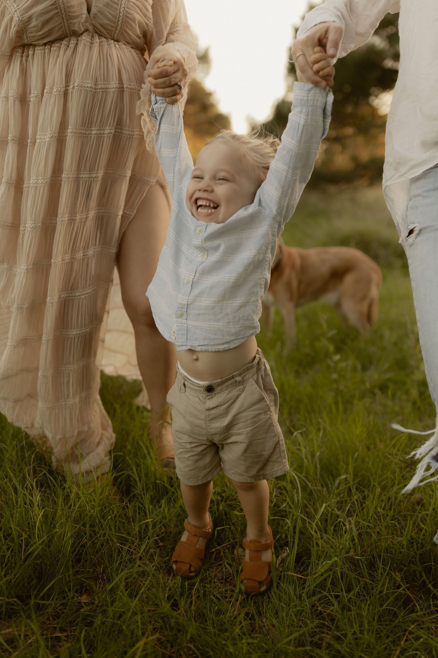 Family members playing and laughing together in a grassy field during golden hour sunset.