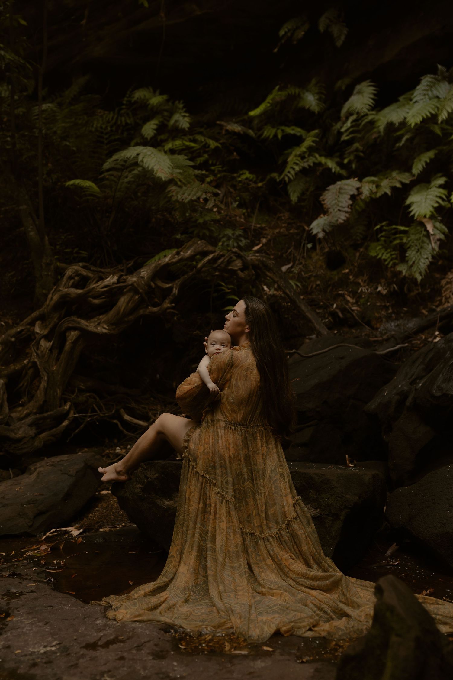 Artistic forest photography with a tree stump in dark moody lighting among ferns and natural scenery.