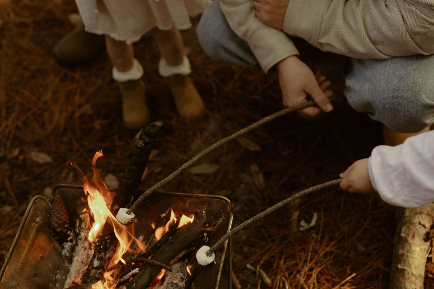 Children roasting marshmallows over a campfire outdoors.