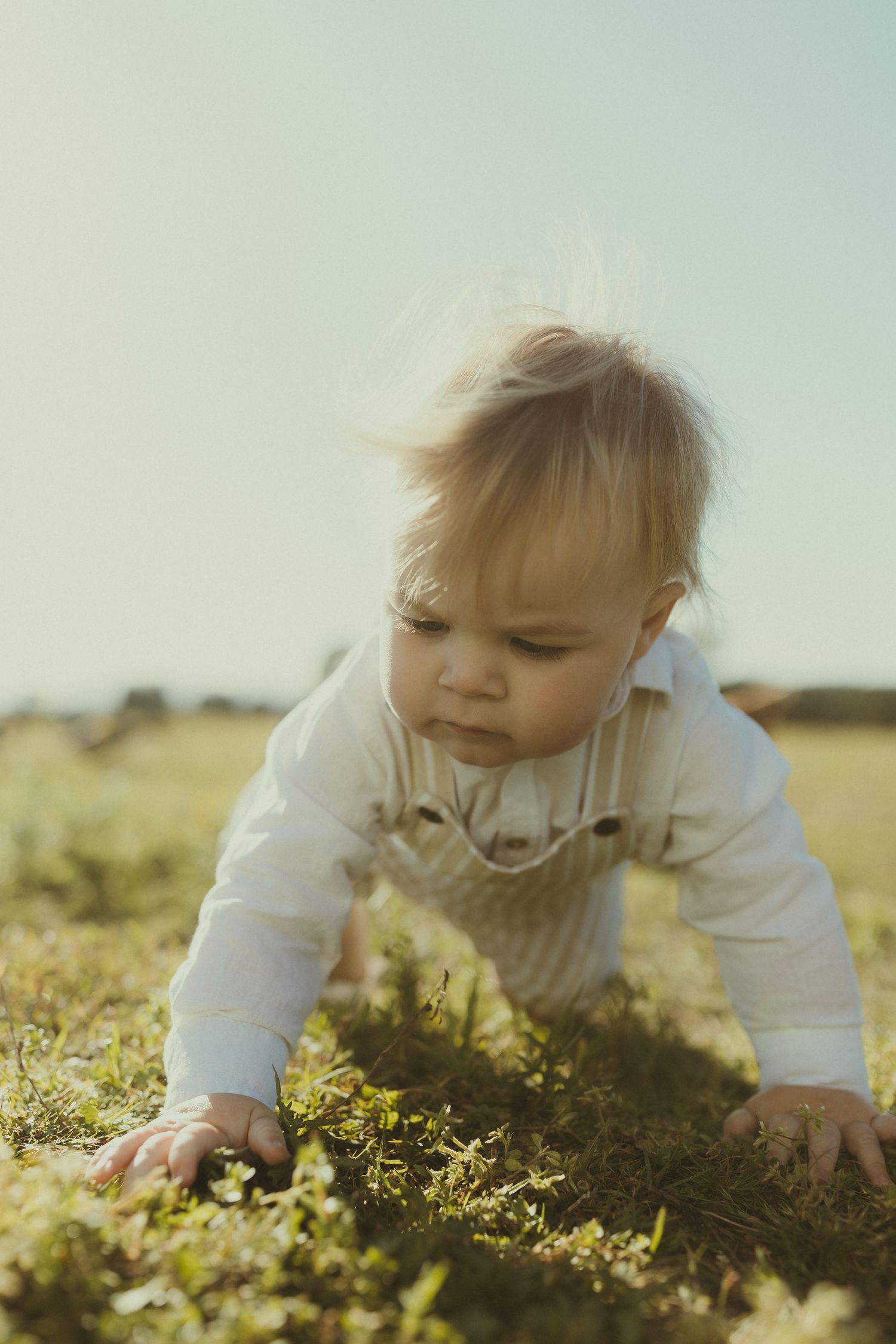 Small child crawling through grass and flowers in a sunny meadow wearing white.