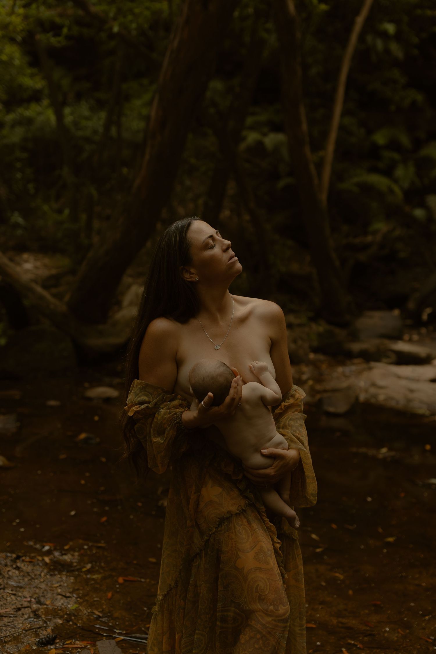 Moody forest scene with natural elements and dramatic lighting creating an ethereal atmosphere.