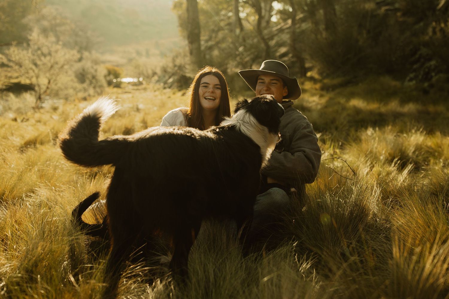 A couple sits in golden sunlit grass with their large black Newfoundland dog during an outdoor photo session.