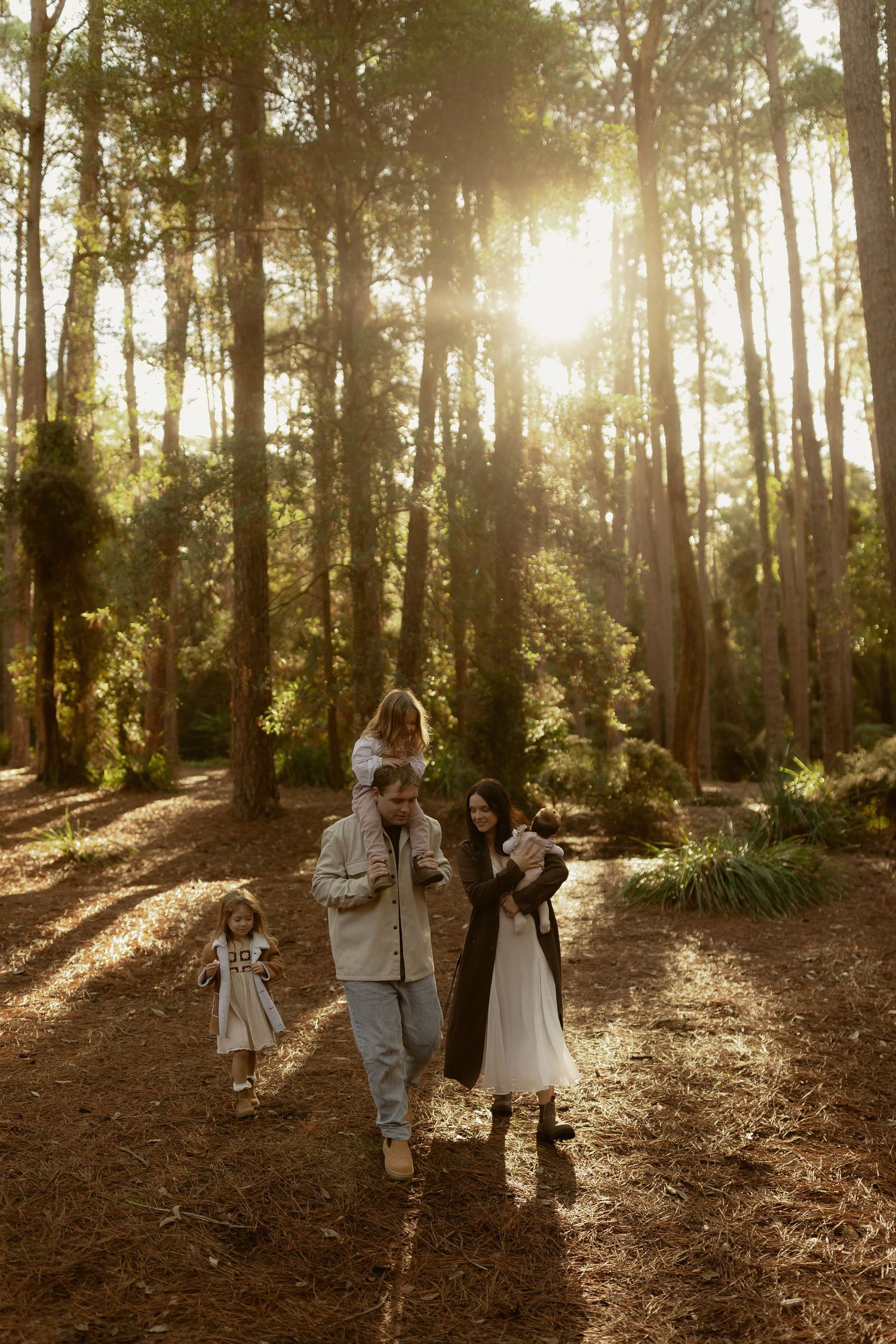 Family walking through sunlit forest with tall pine trees, golden hour light streaming through, parents with children on path.