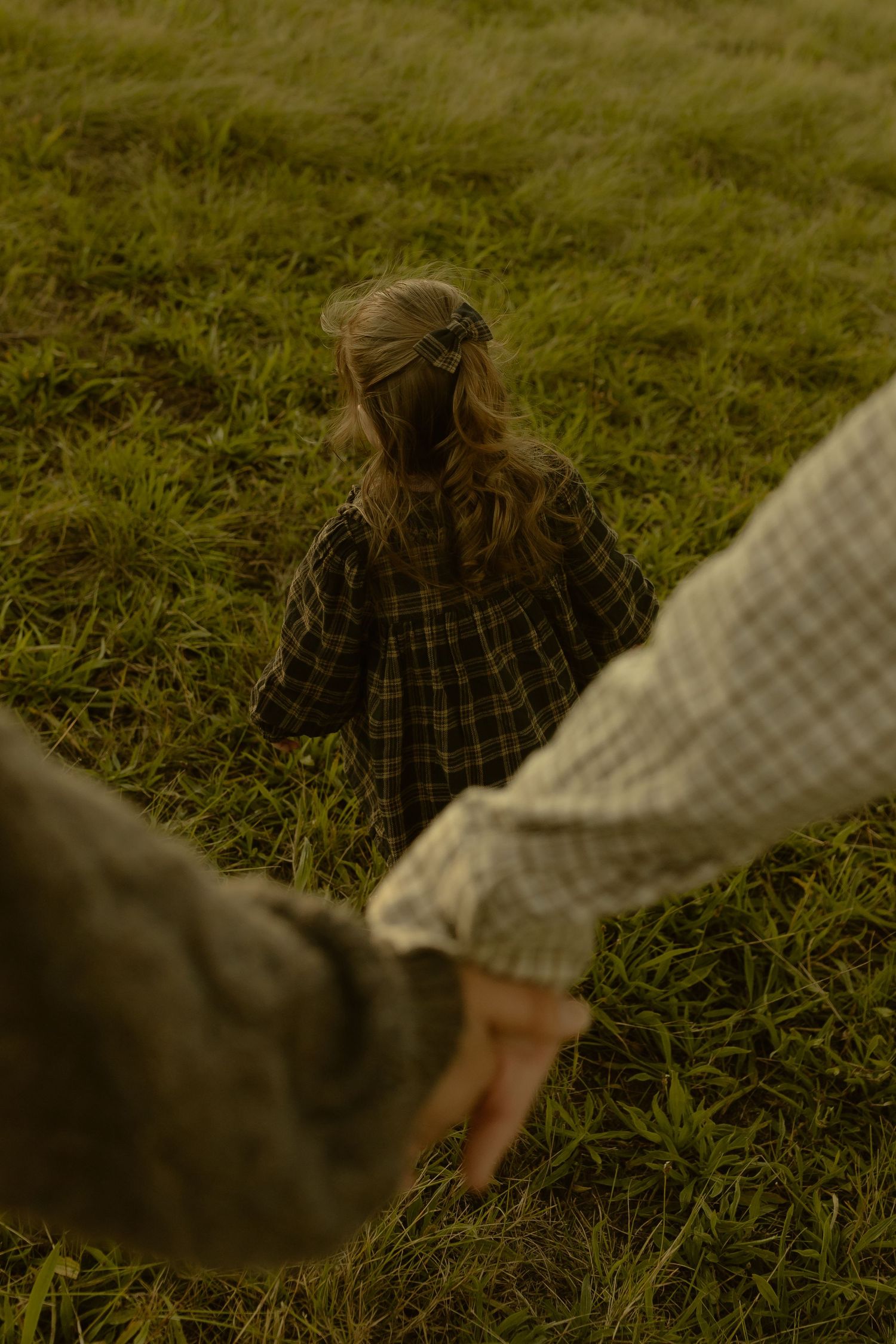 A young girl in a plaid dress walks through lush green grass as an adult reaches out their hand.