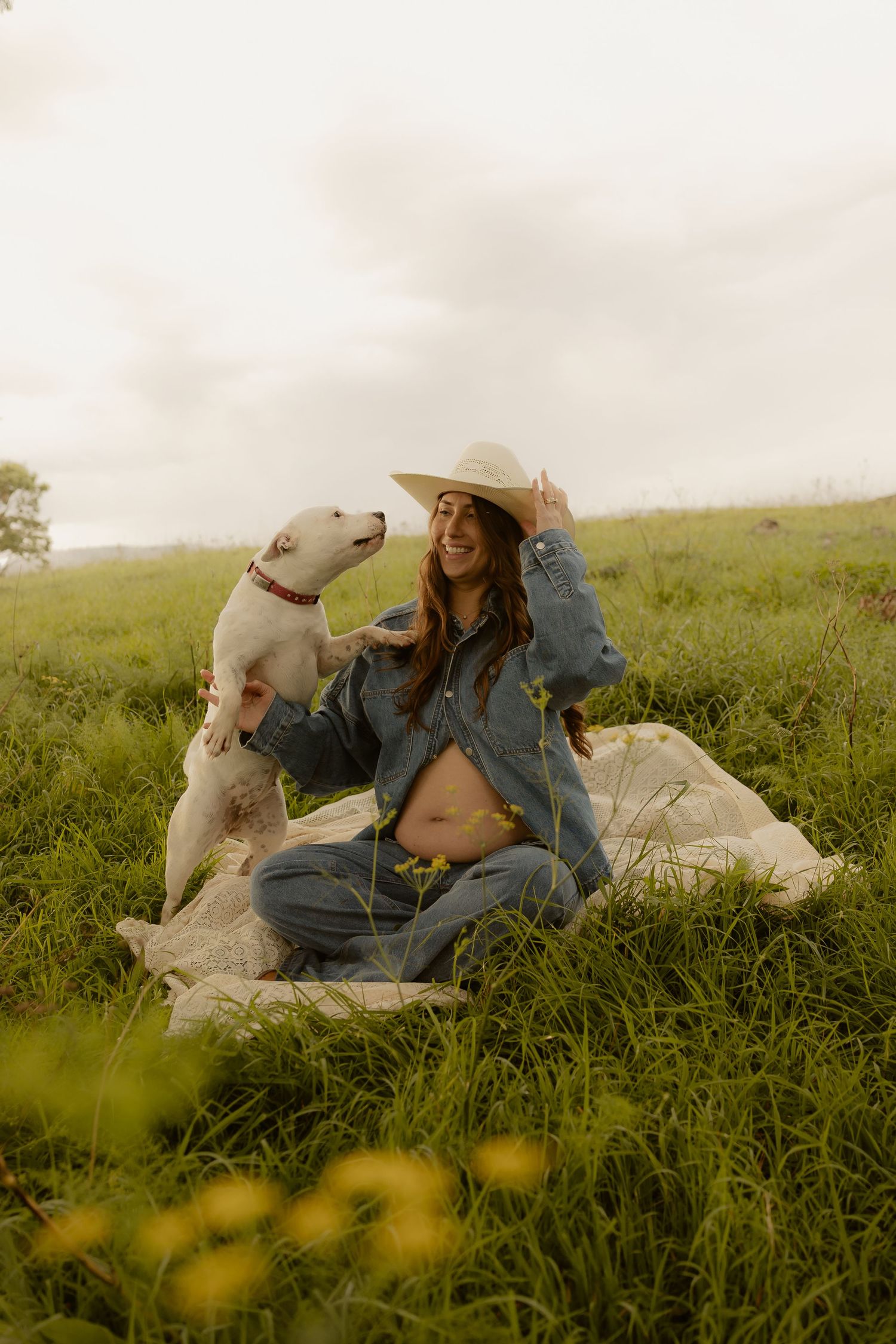 Outdoor maternity photography in Sydney, Central Coast, Blue Mountains, Wollongong, in field, farm, garden and countryside