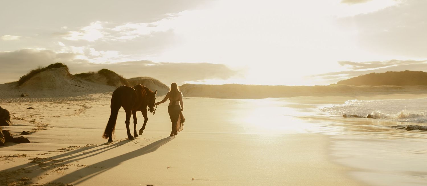Silhouette of a person walking a horse on a sandy beach at golden sunset with ocean waves nearby.